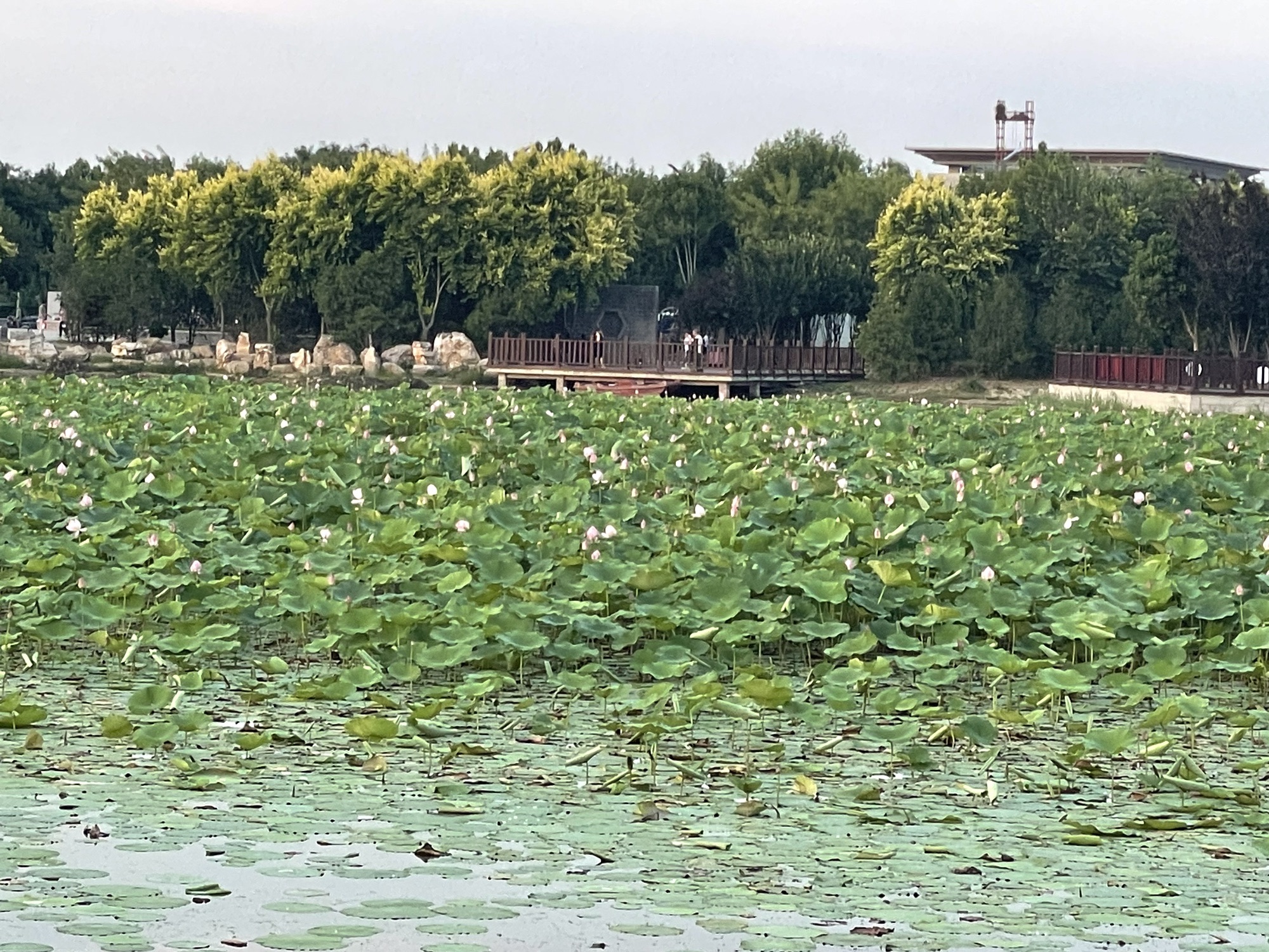 襄都湖公园旅行图片 3
