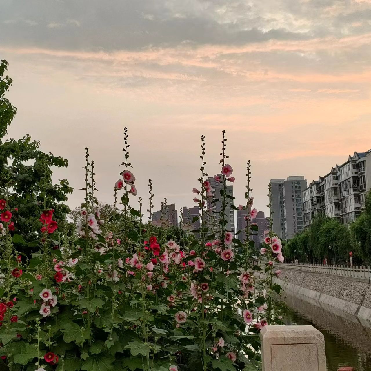 围寨河公园旅行图片 3