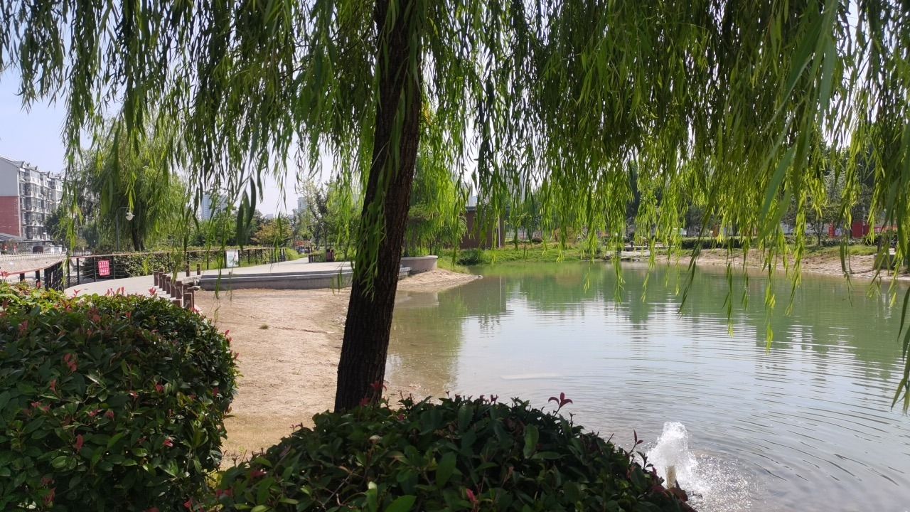 围寨河公园旅行图片 2