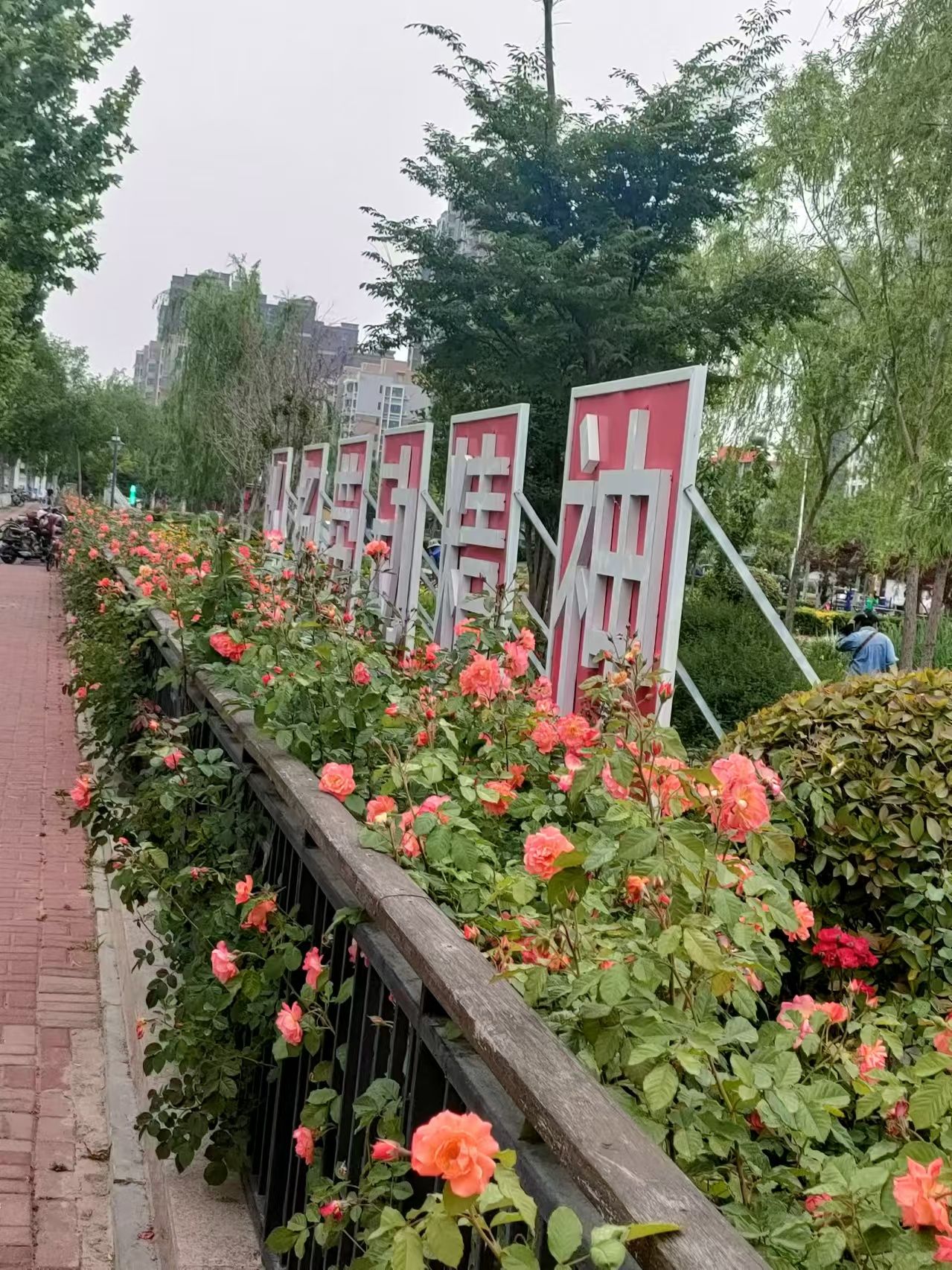 围寨河公园旅行图片 1