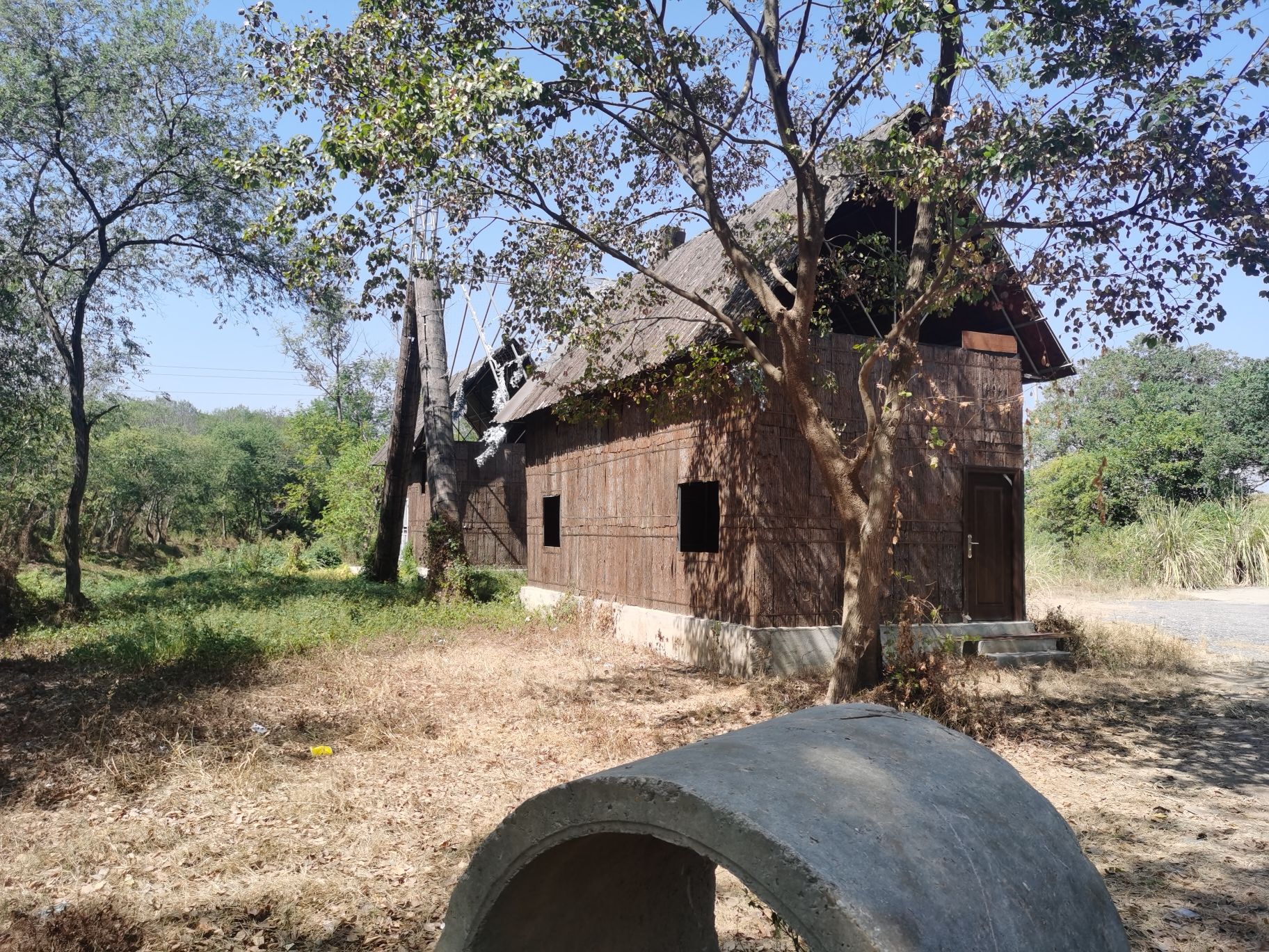 青龙洲森林乐园旅行图片 1