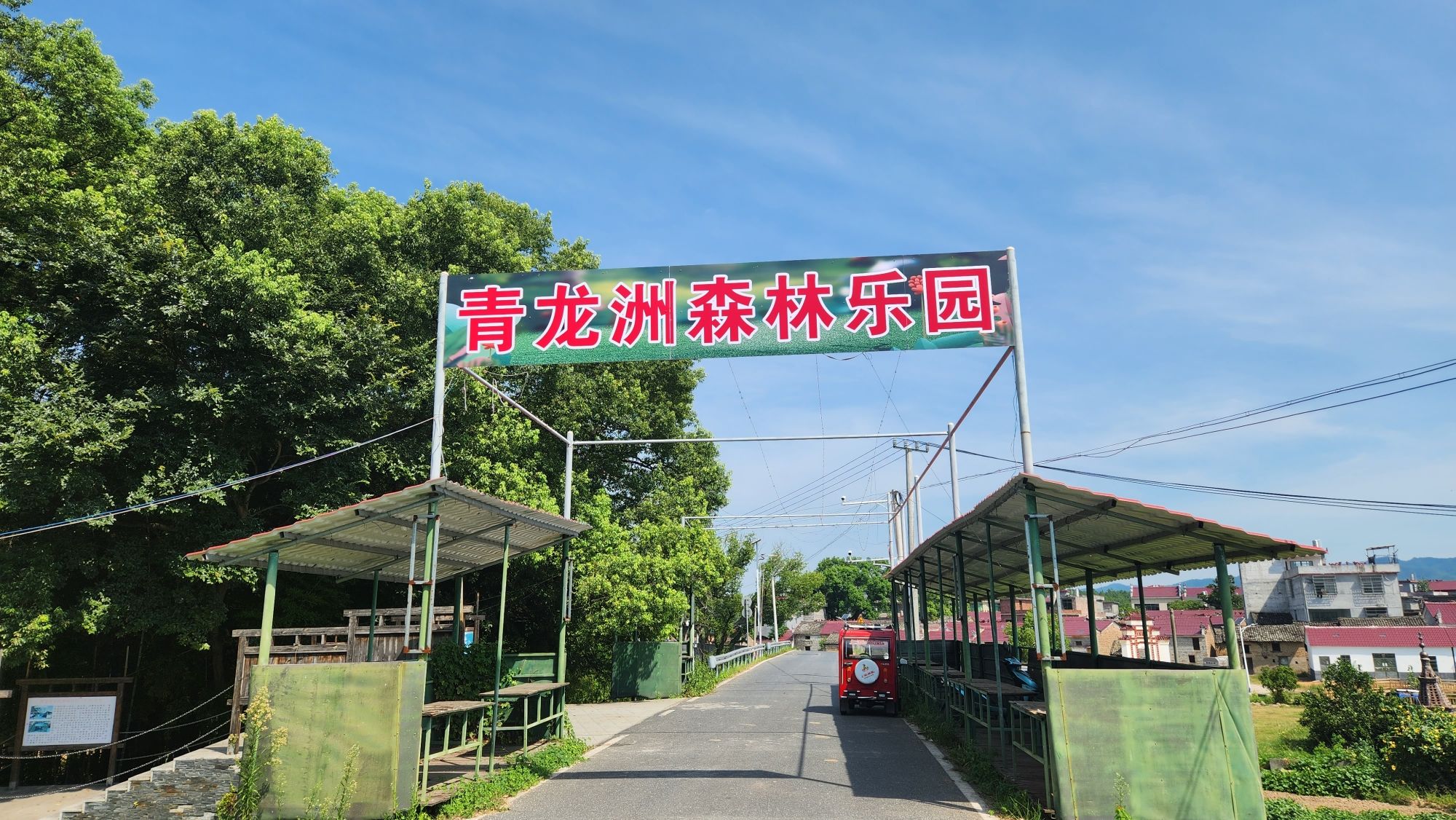 青龙洲森林乐园旅行图片 1