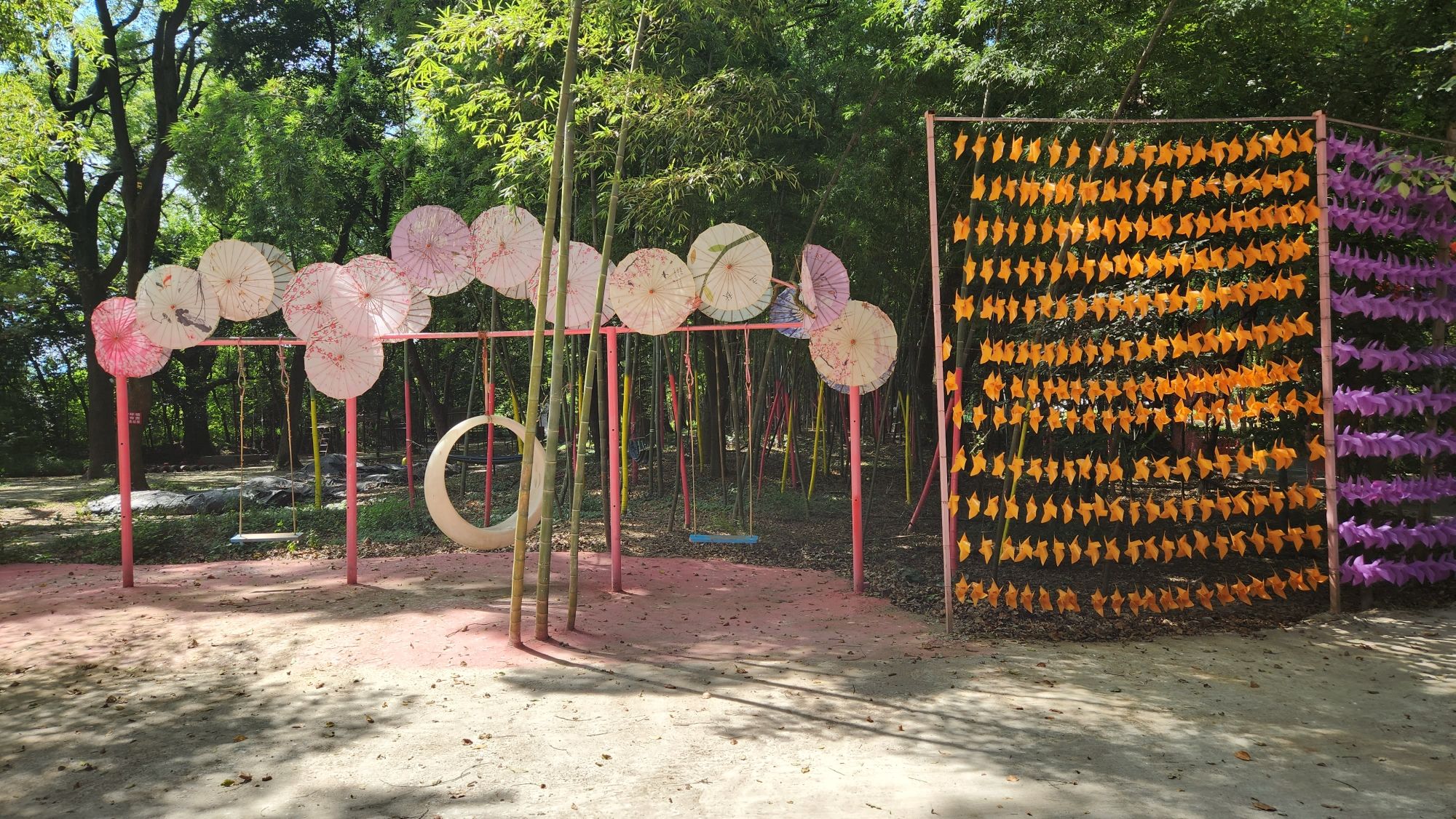 青龙洲森林乐园旅行图片 2