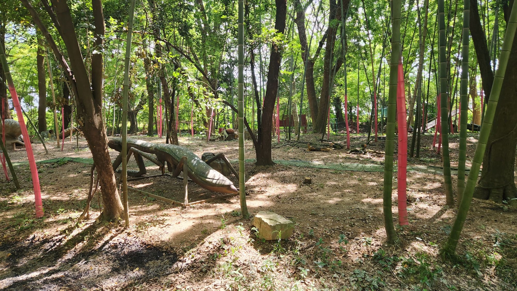 青龙洲森林乐园旅行图片 3
