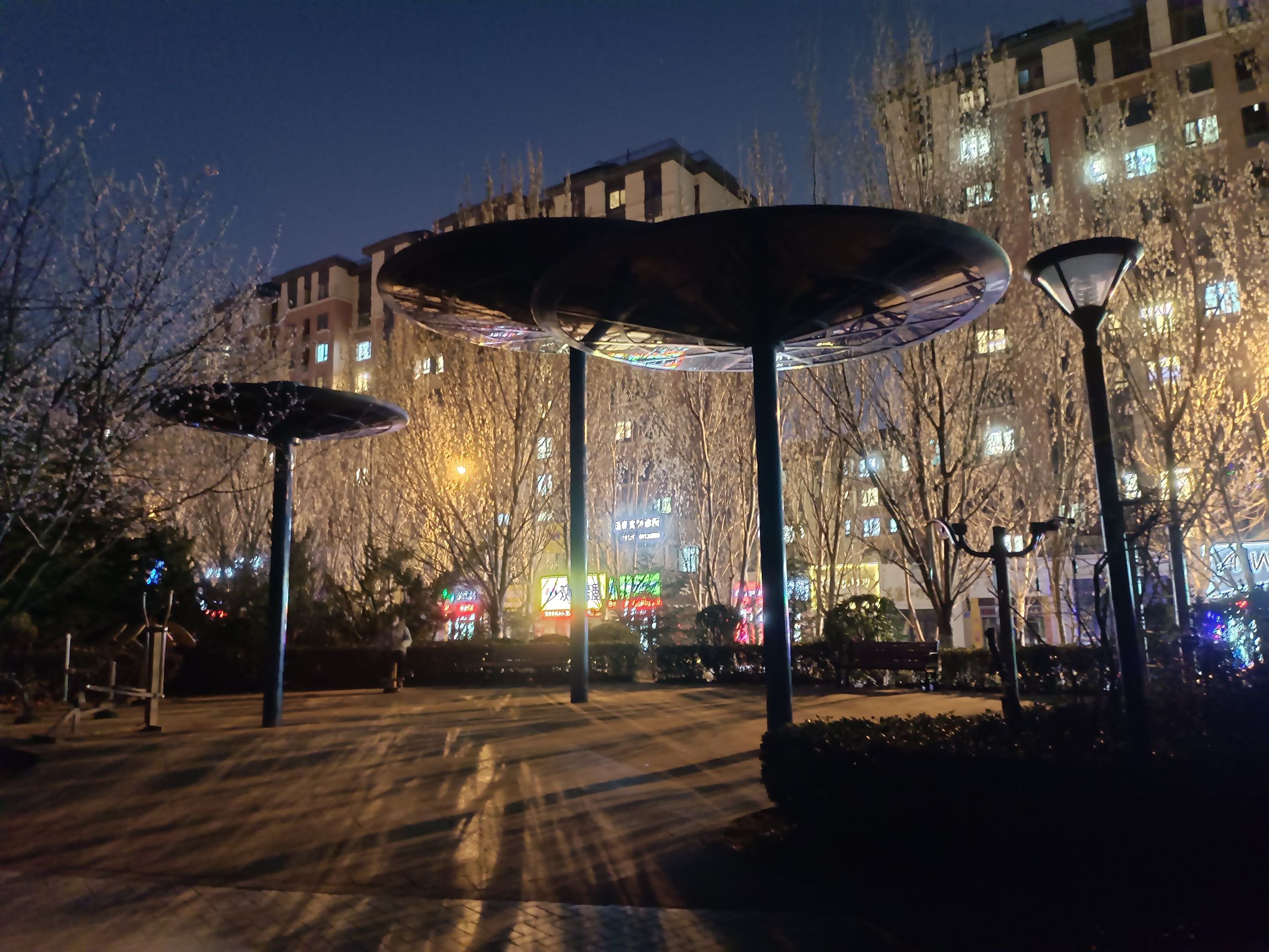 中央生活公园旅行图片 2