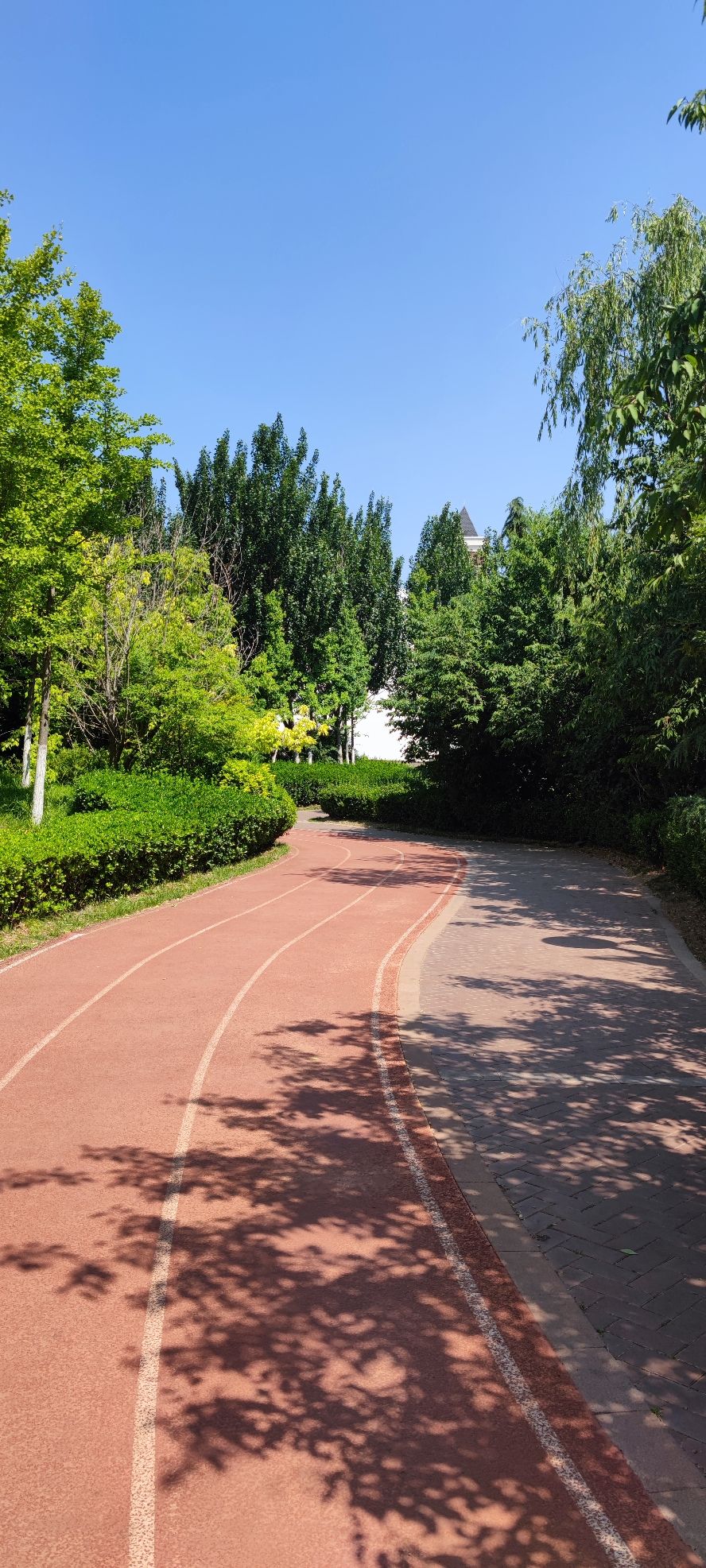 中央生活公园旅行图片 3