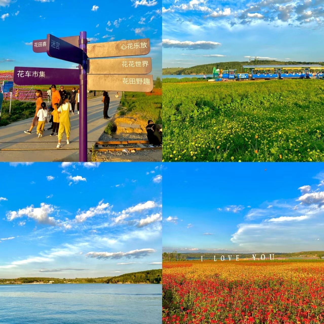 森林公园旅行图片 2