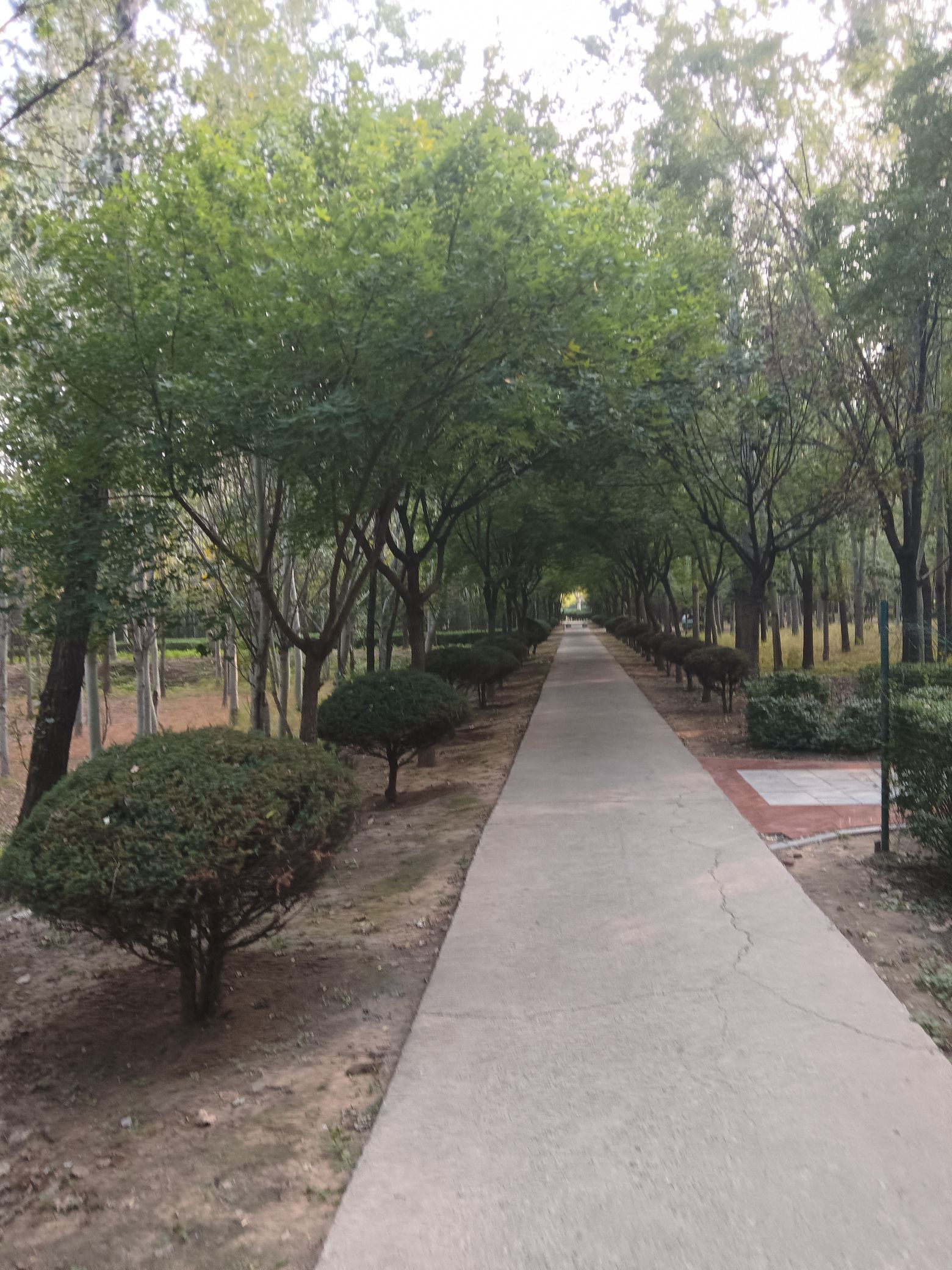森林公园旅行图片 3
