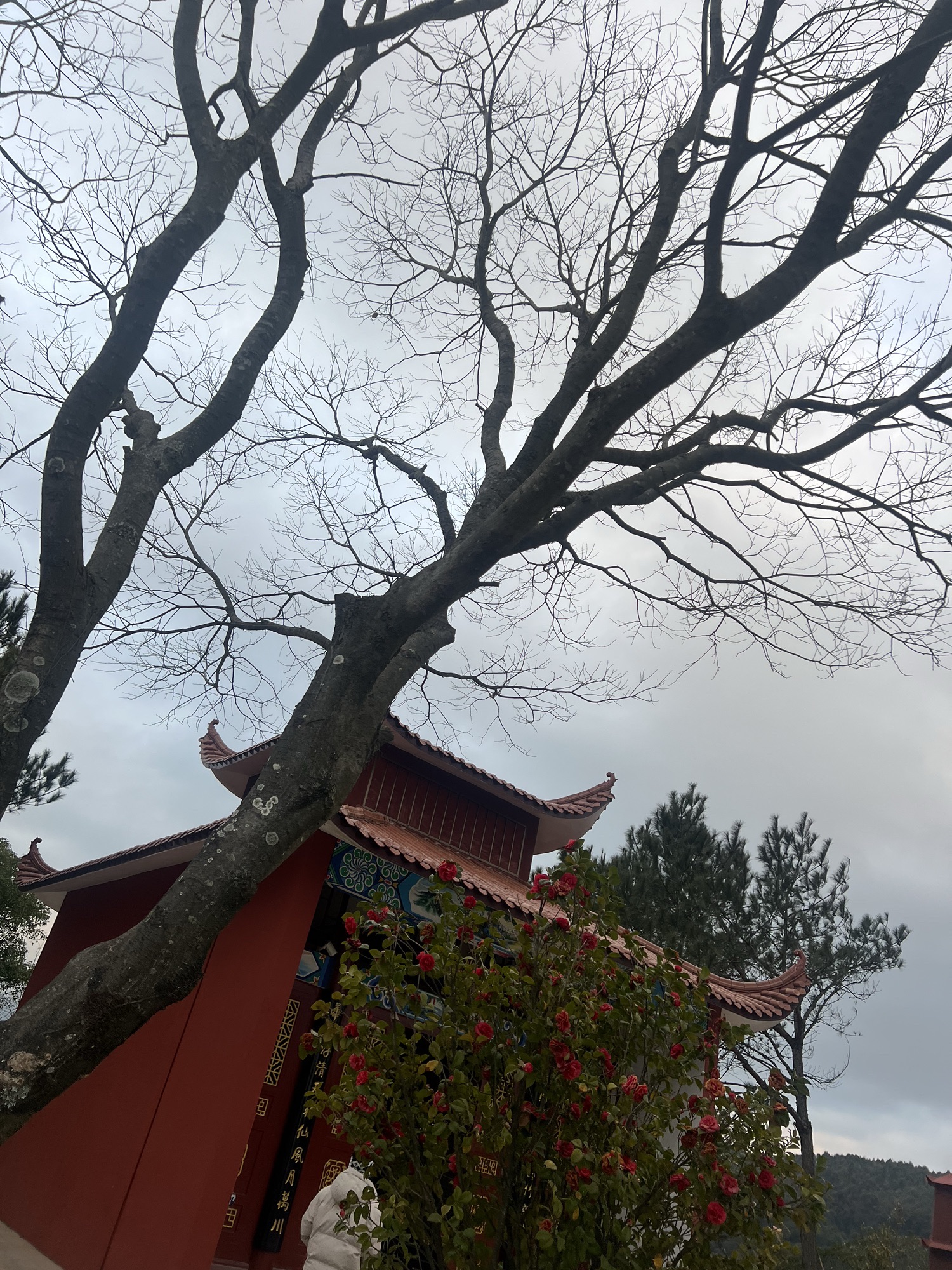 钟石仙娘宫旅行图片 2