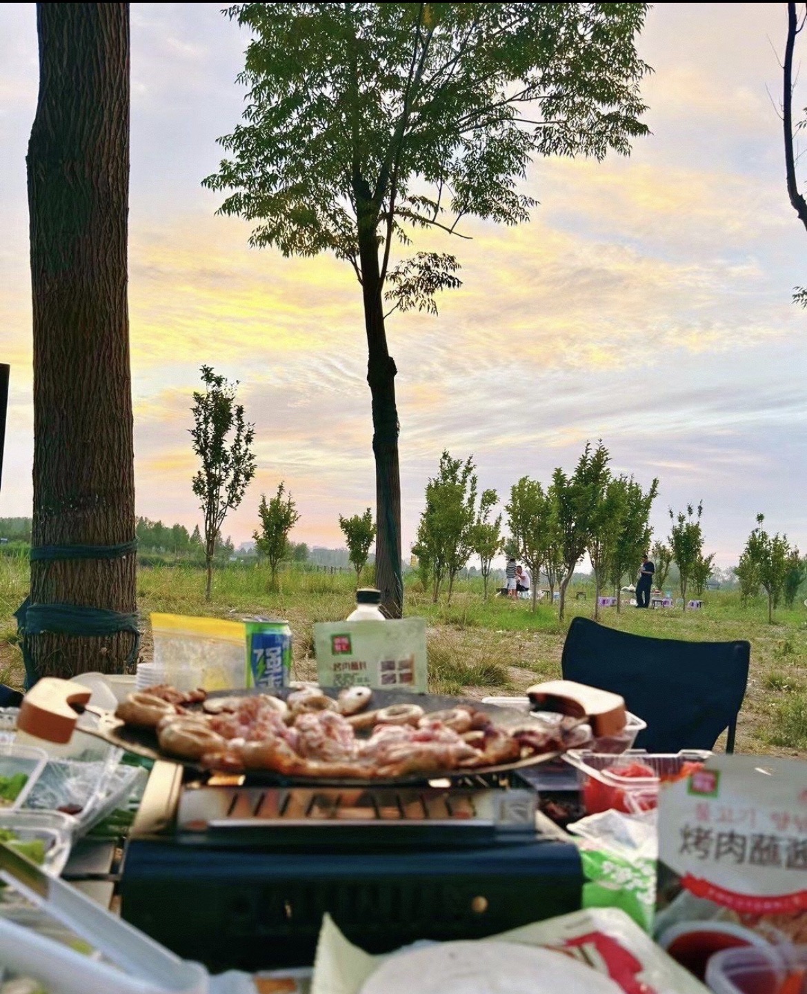 十里湖生态湿地公园旅行图片 3