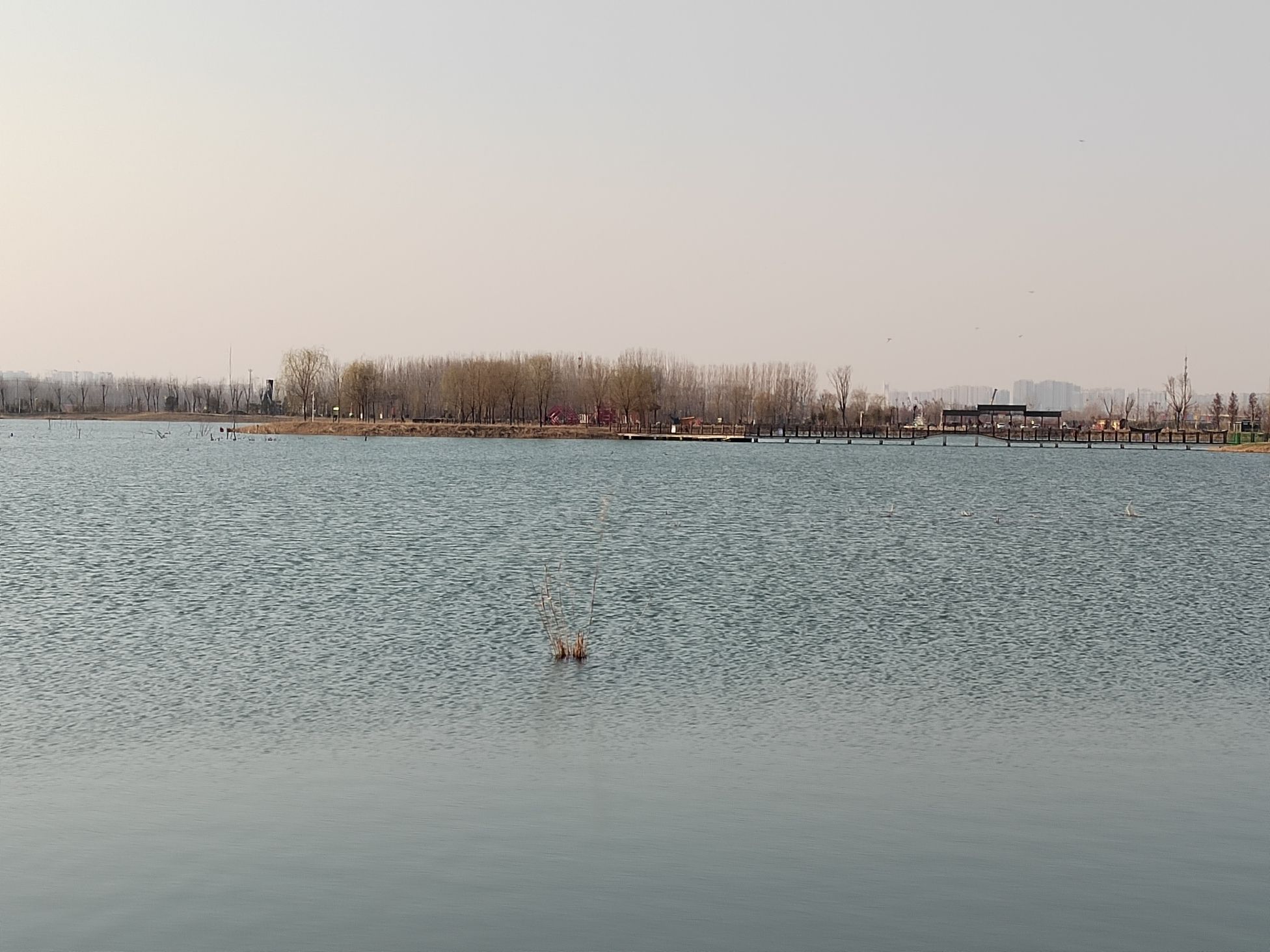 十里湖生态湿地公园旅行图片 2
