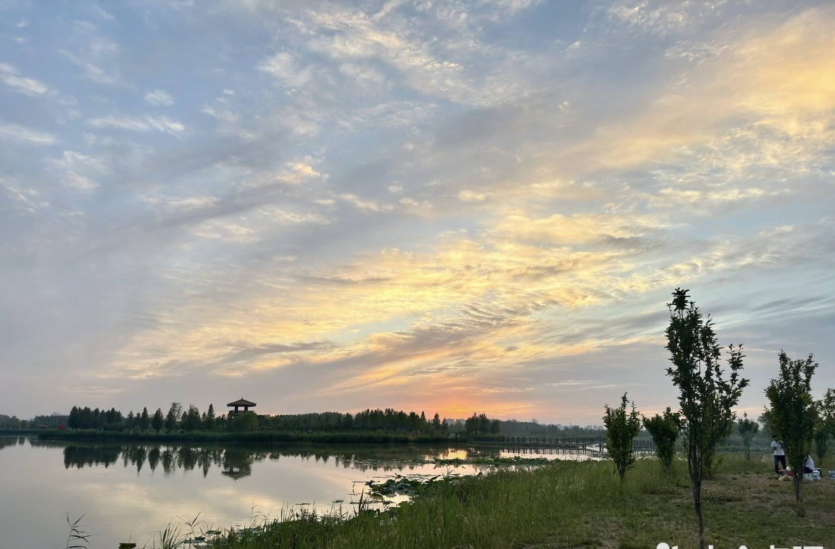 十里湖生态湿地公园旅行图片 1