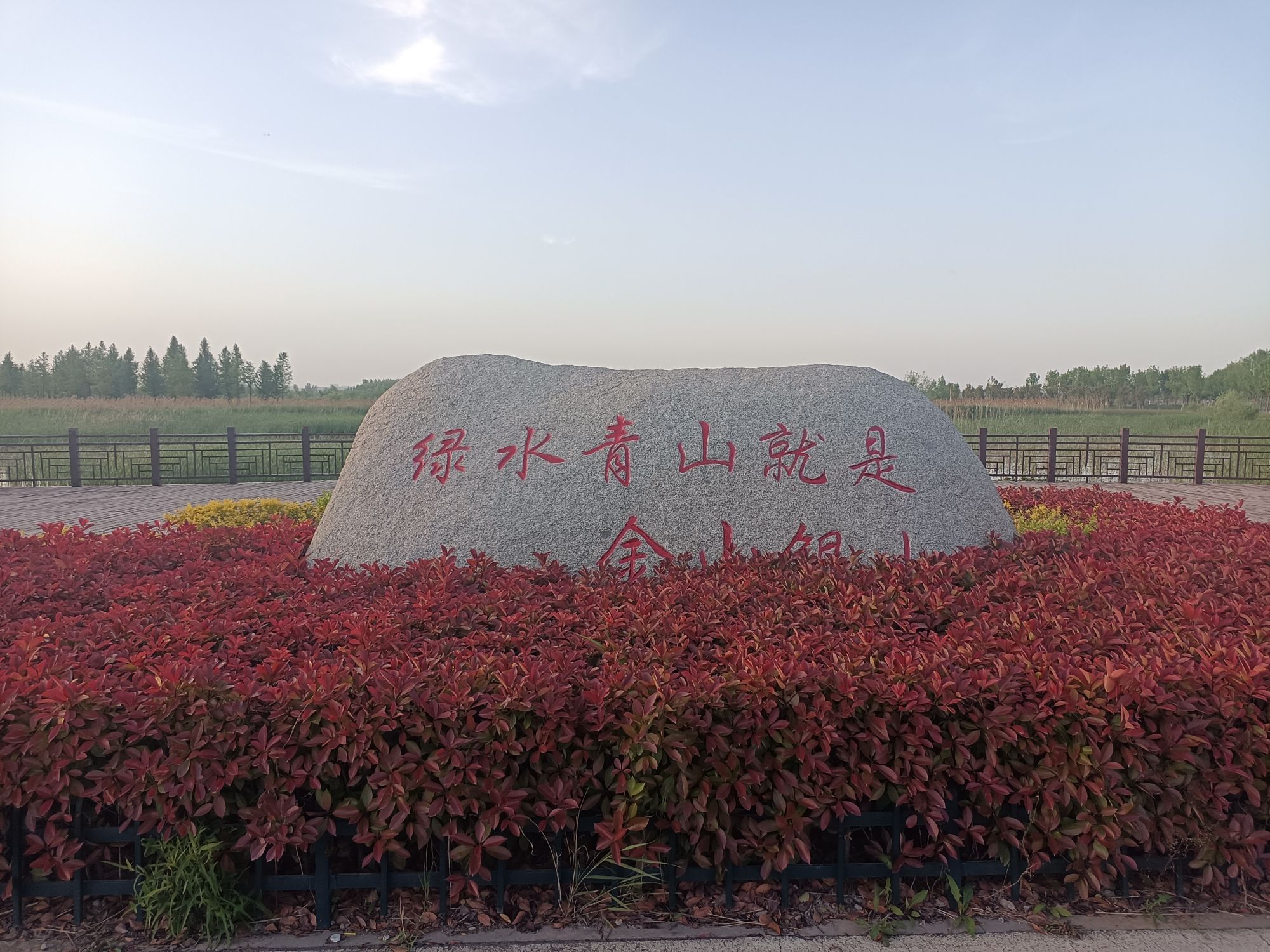 十里湖生态湿地公园旅行图片 3