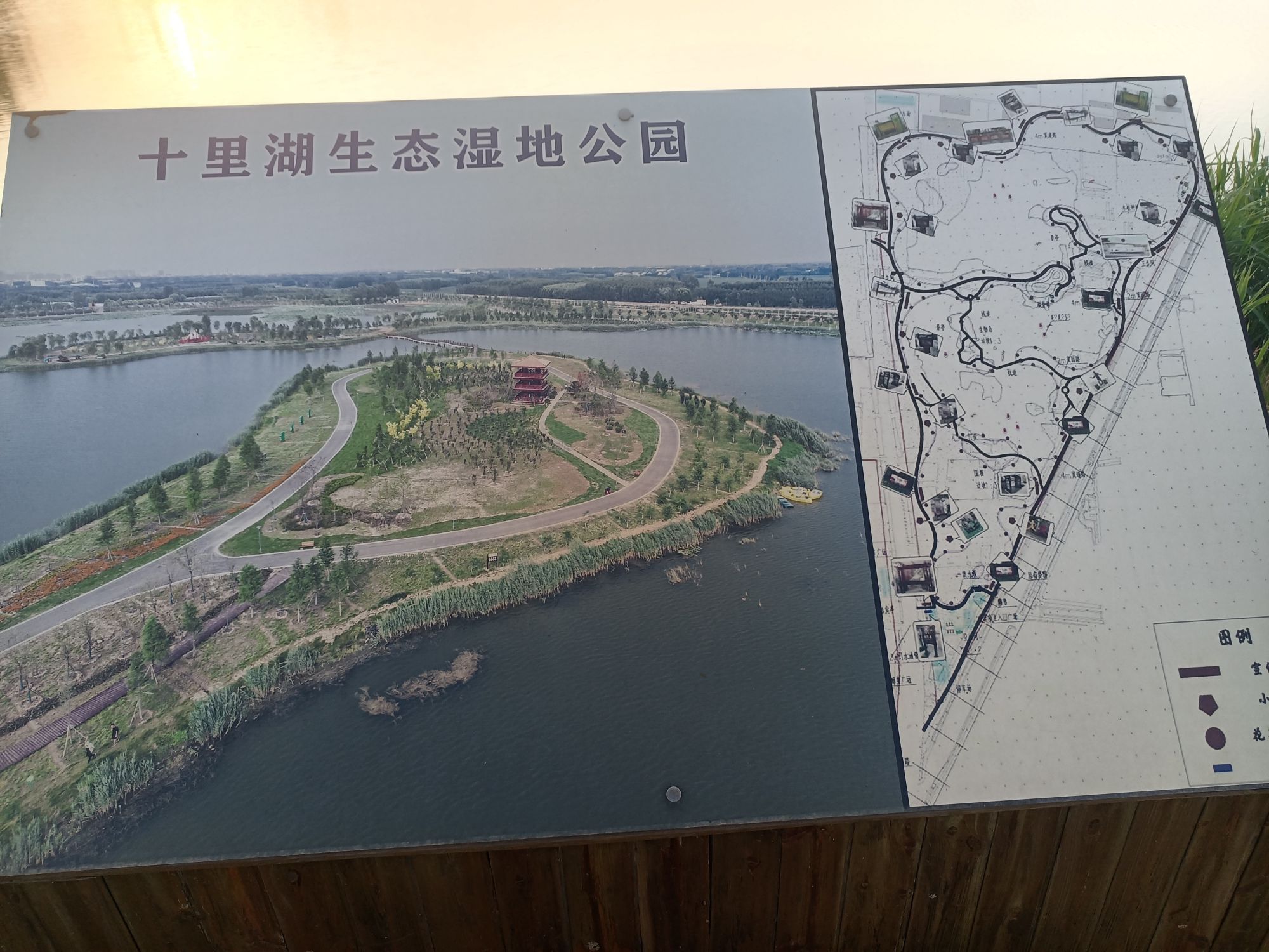 十里湖生态湿地公园旅行图片 1