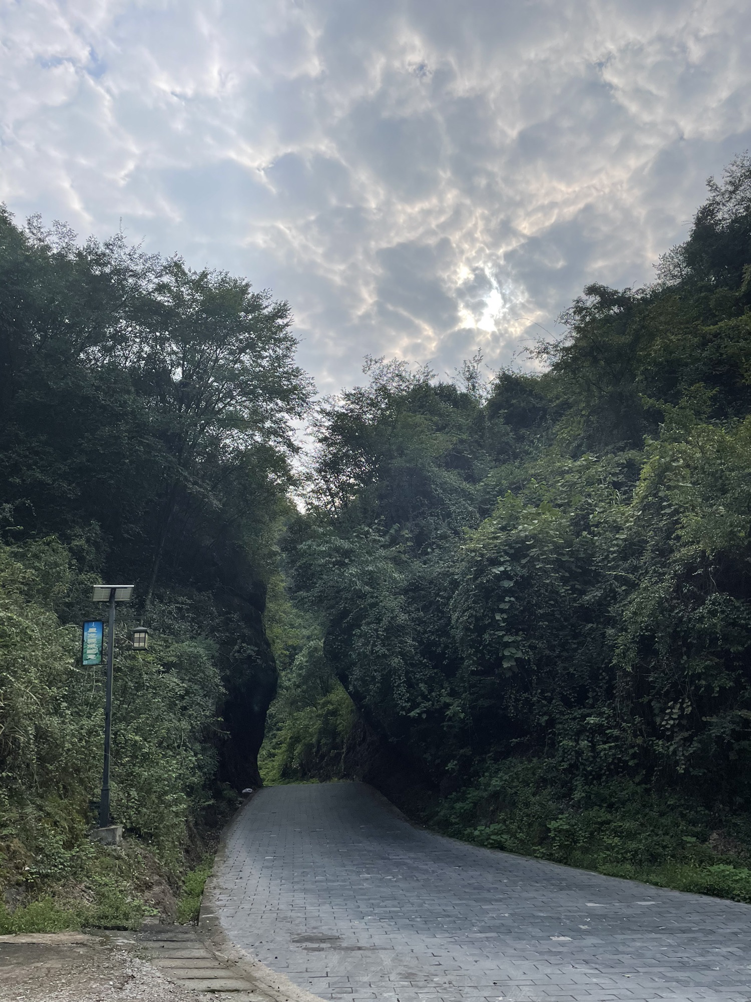 辰龙关(暂停开放)旅行图片 2