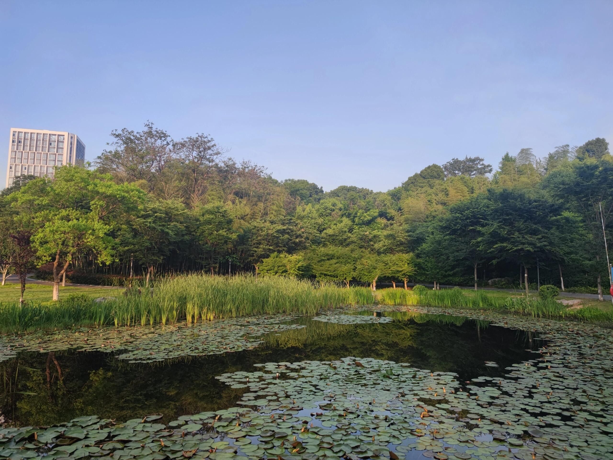 浔南花谷旅行图片 2