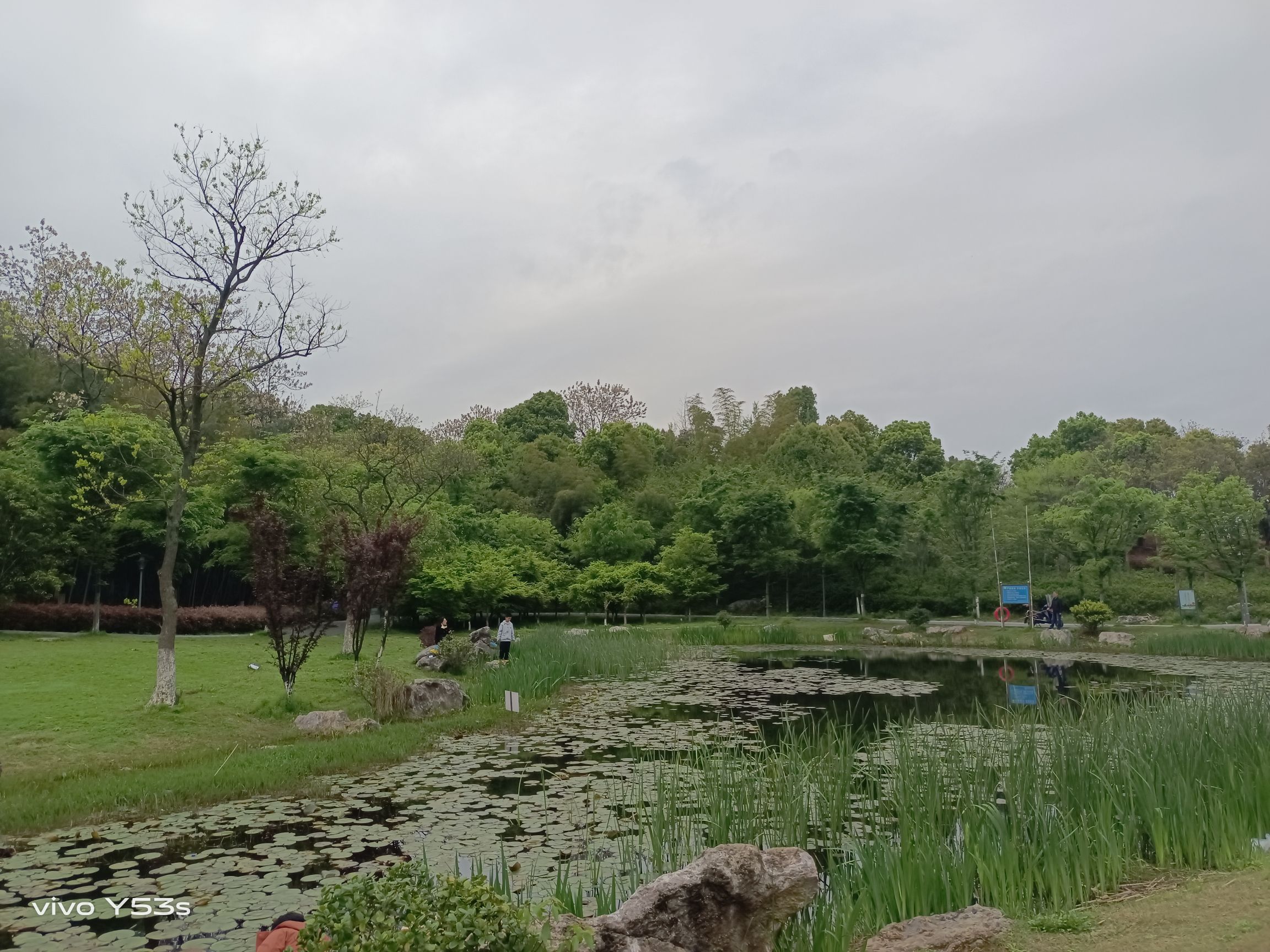浔南花谷旅行图片 3