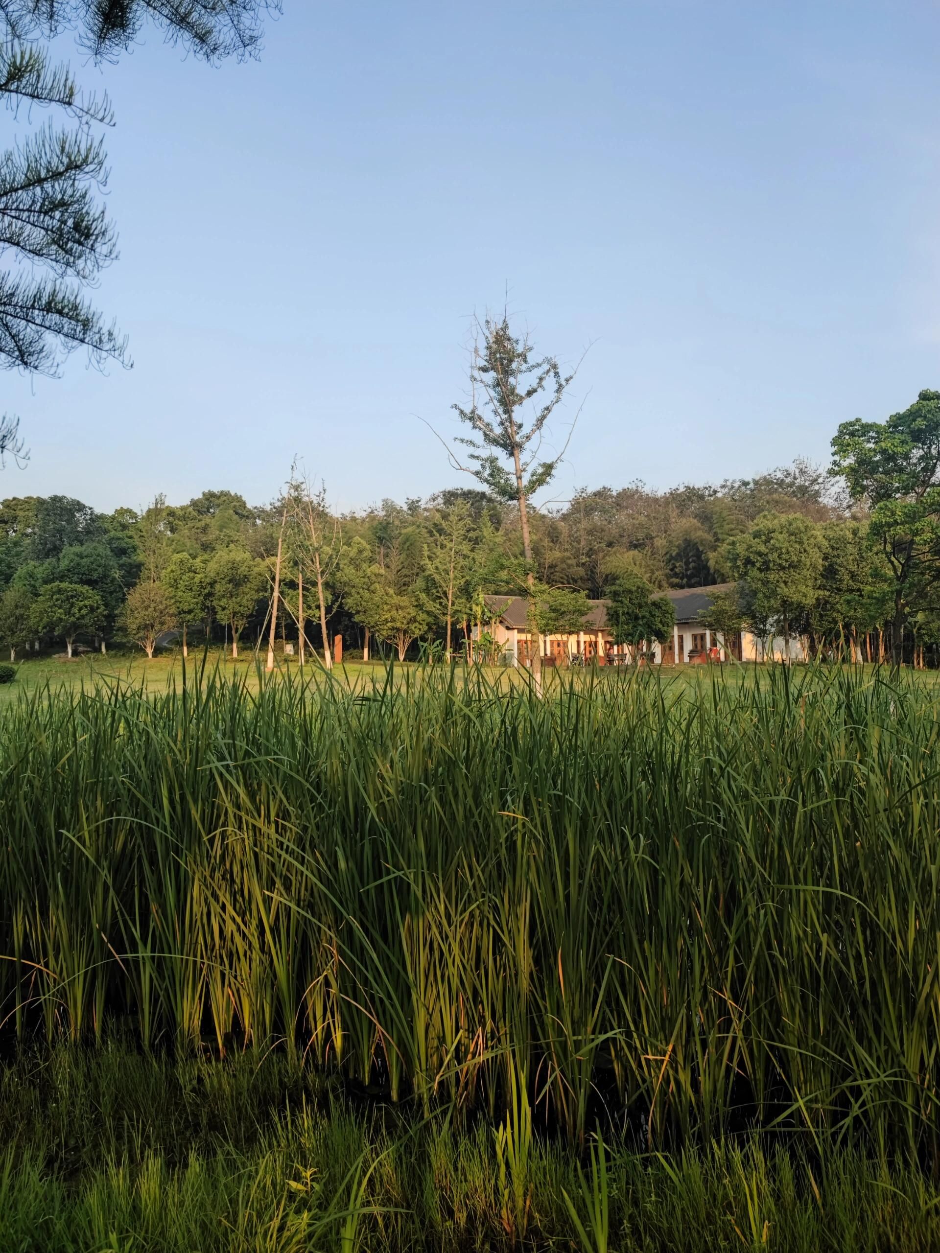 浔南花谷旅行图片 3
