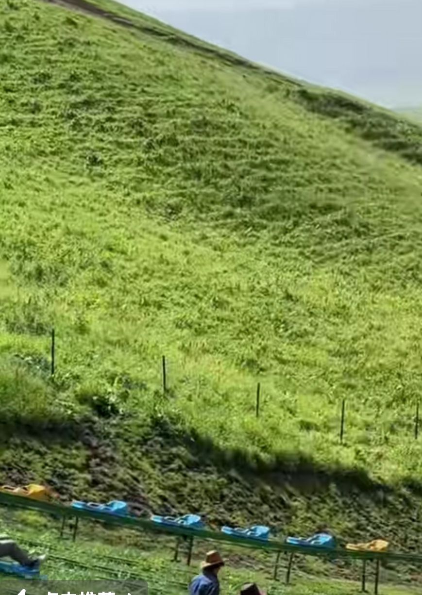 西山景区旅行图片 1