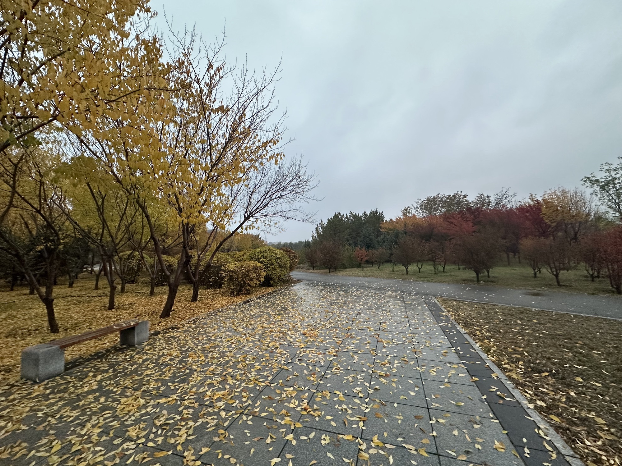 呼和浩特市植物园旅行图片 2