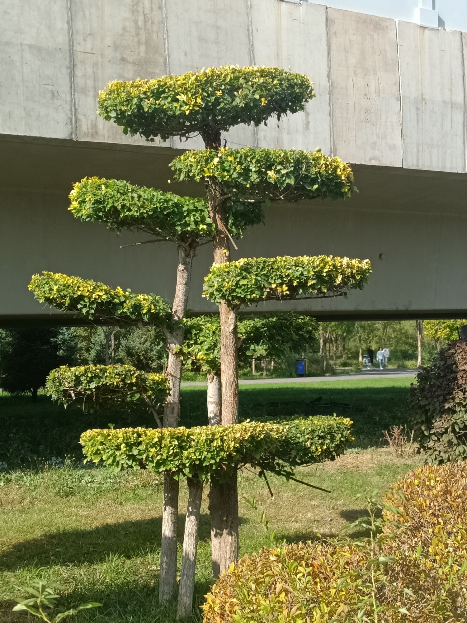 呼和浩特市植物园旅行图片 3