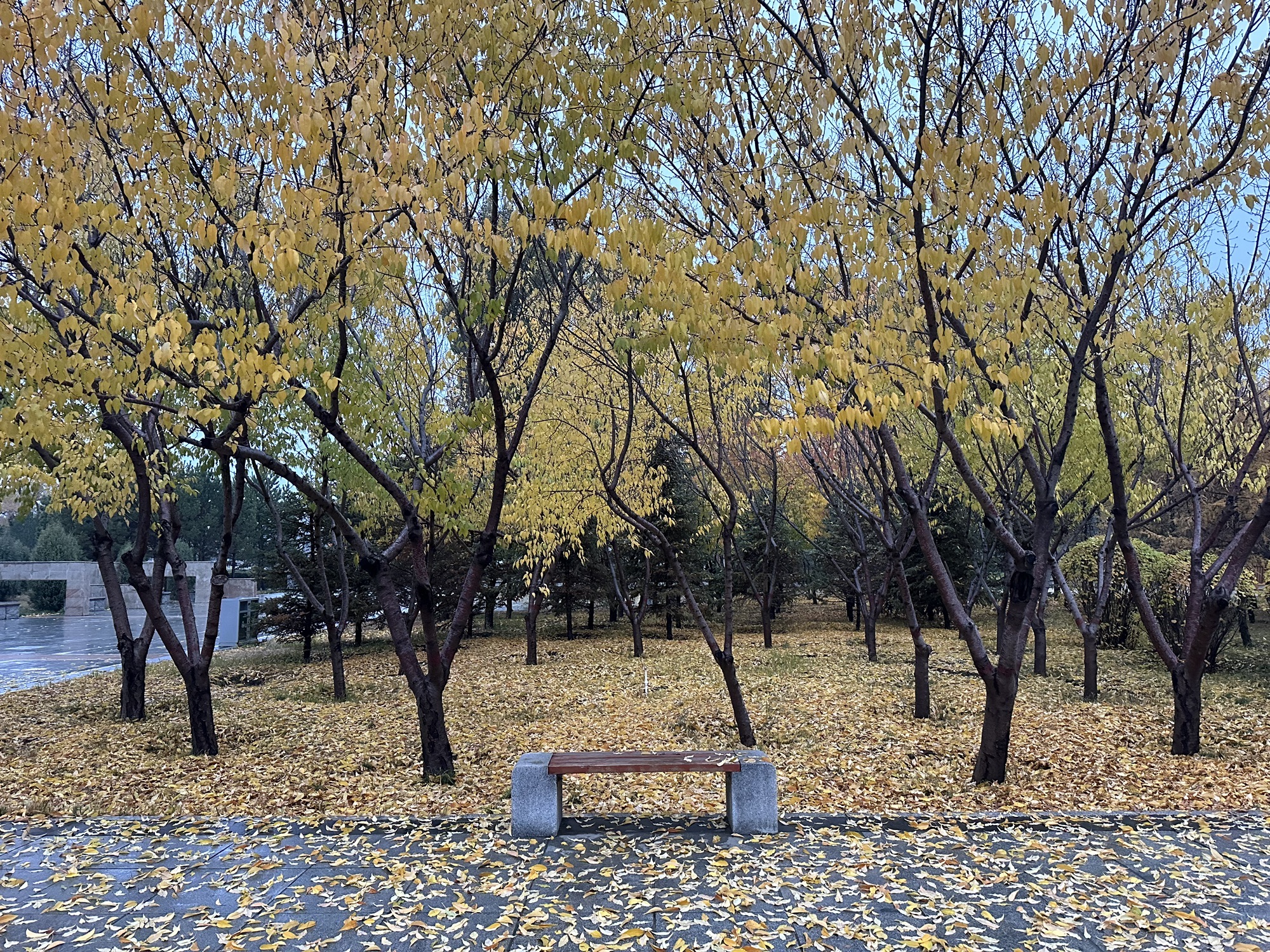 呼和浩特市植物园旅行图片 1