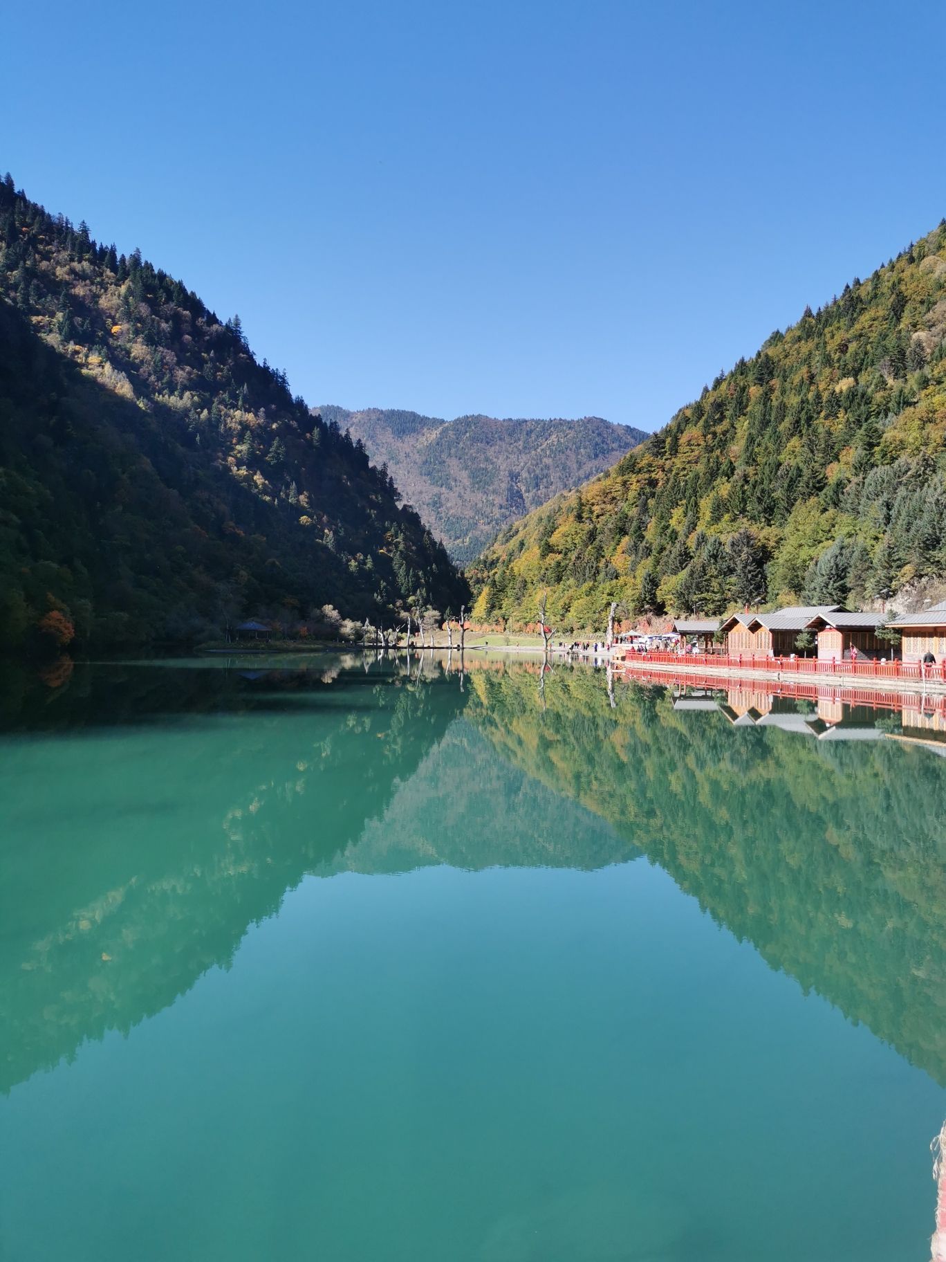 奶子沟彩林公园景区-洛哩措旅行图片 1