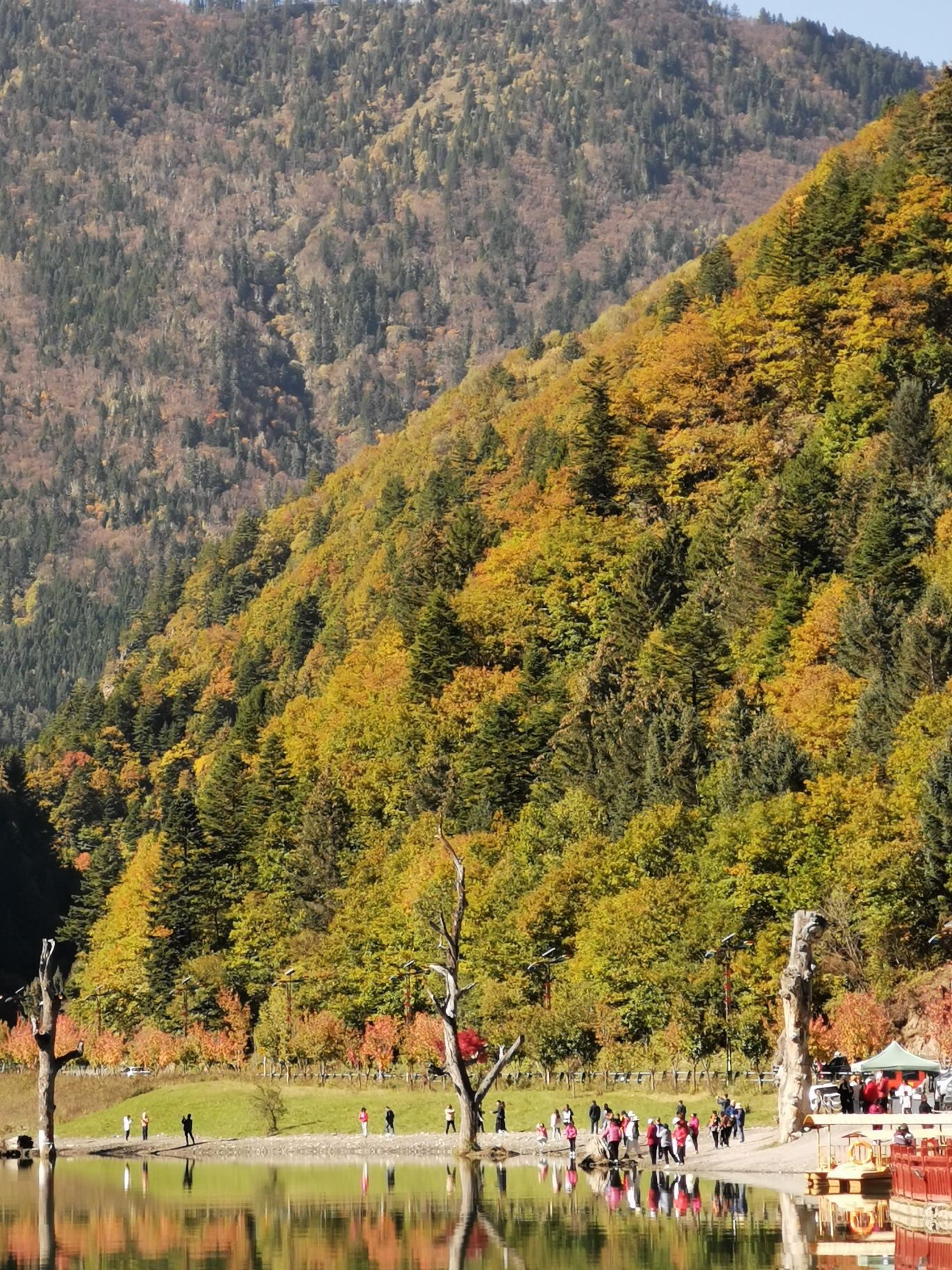 奶子沟彩林公园景区-洛哩措旅行图片 3