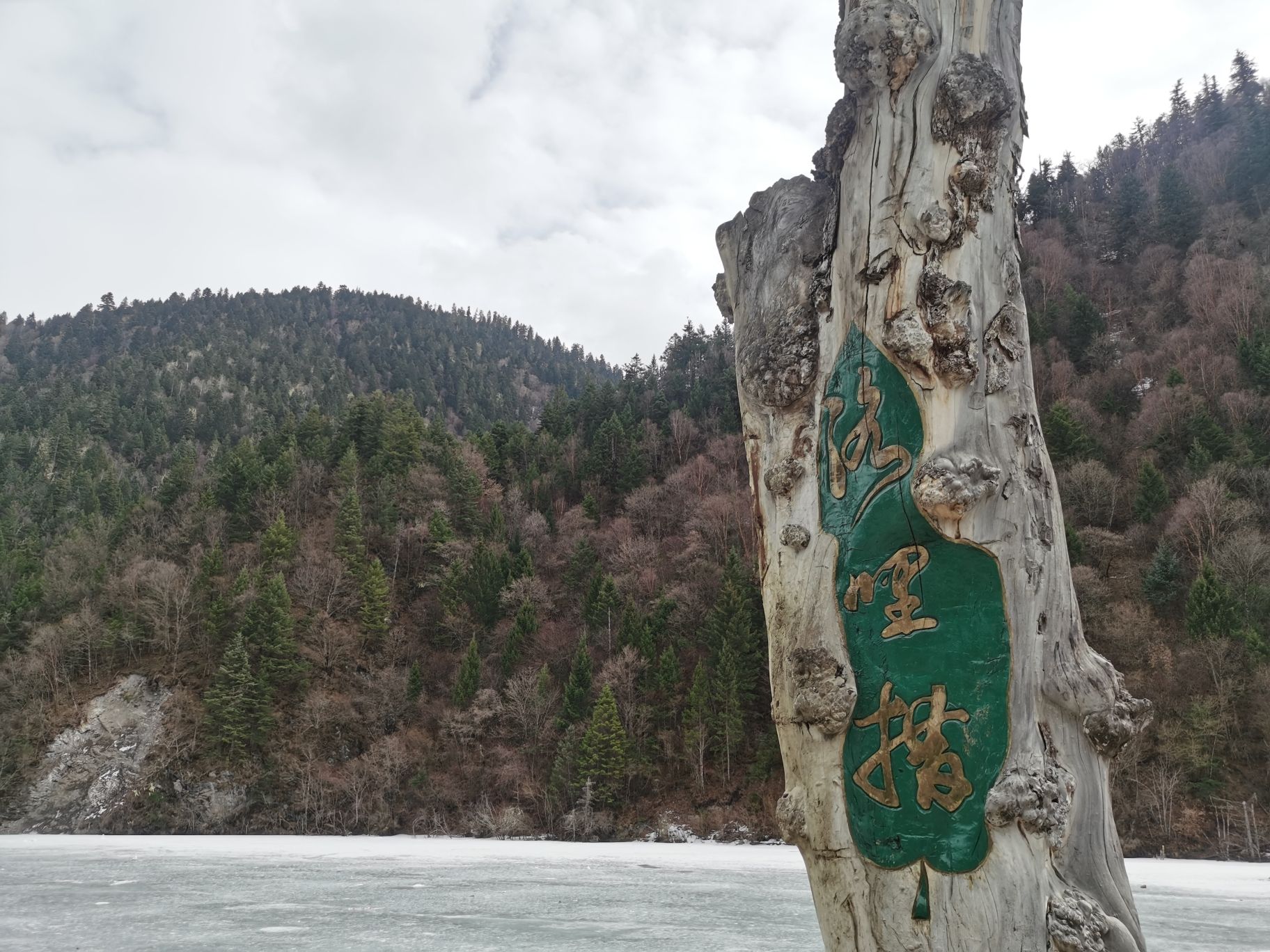 奶子沟彩林公园景区-洛哩措旅行图片 1