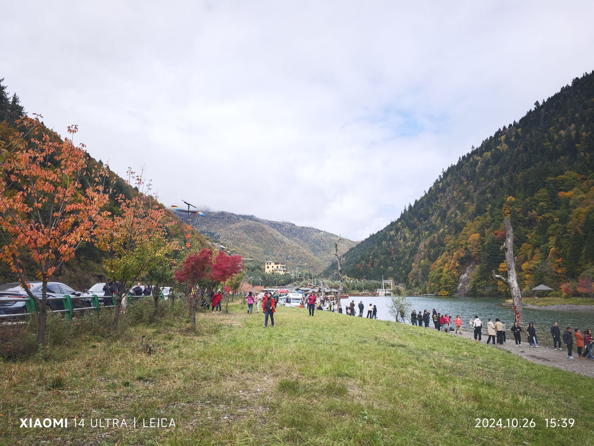 奶子沟彩林公园景区-洛哩措旅行图片 1