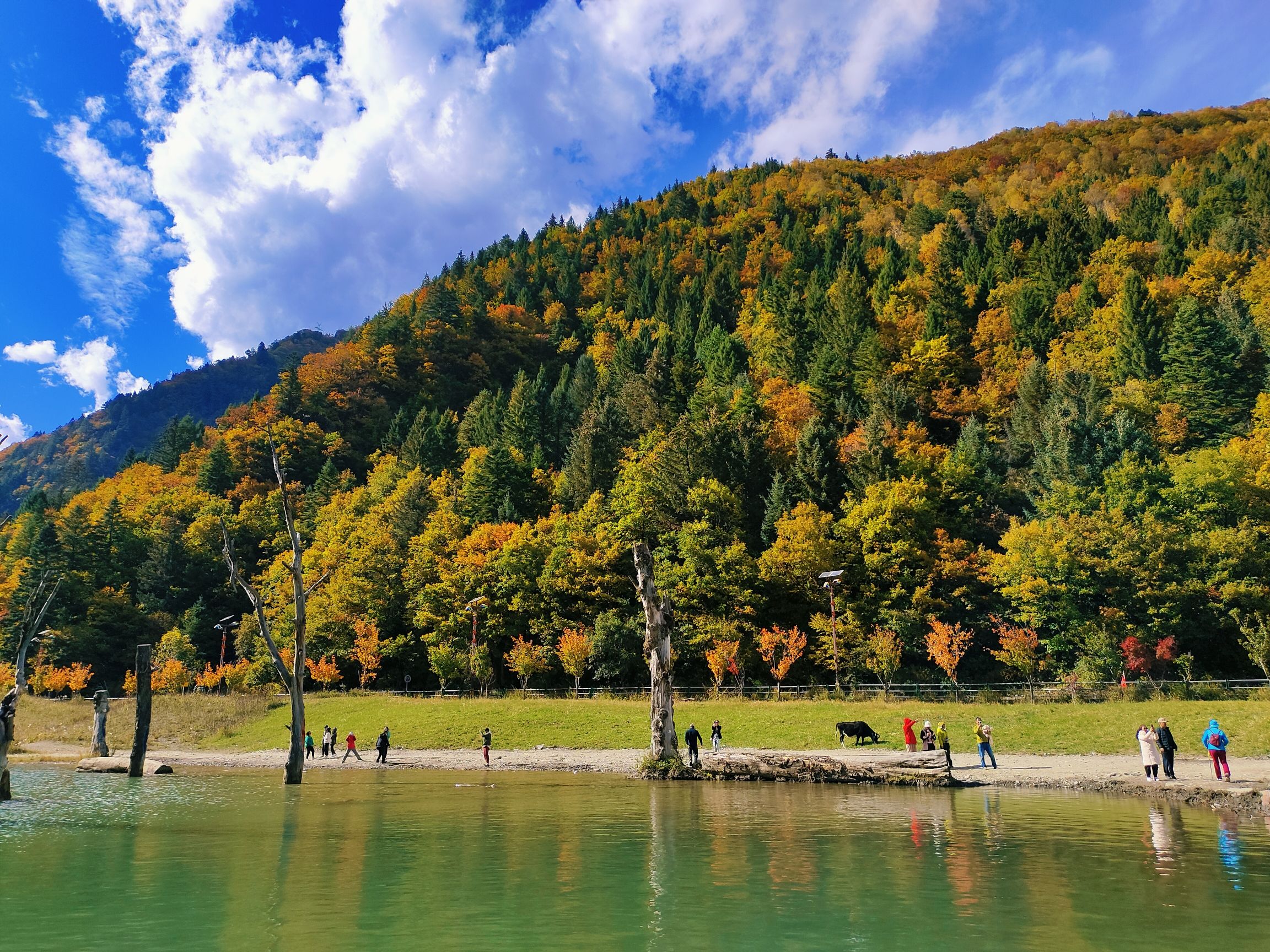 奶子沟彩林公园景区-洛哩措旅行图片 3