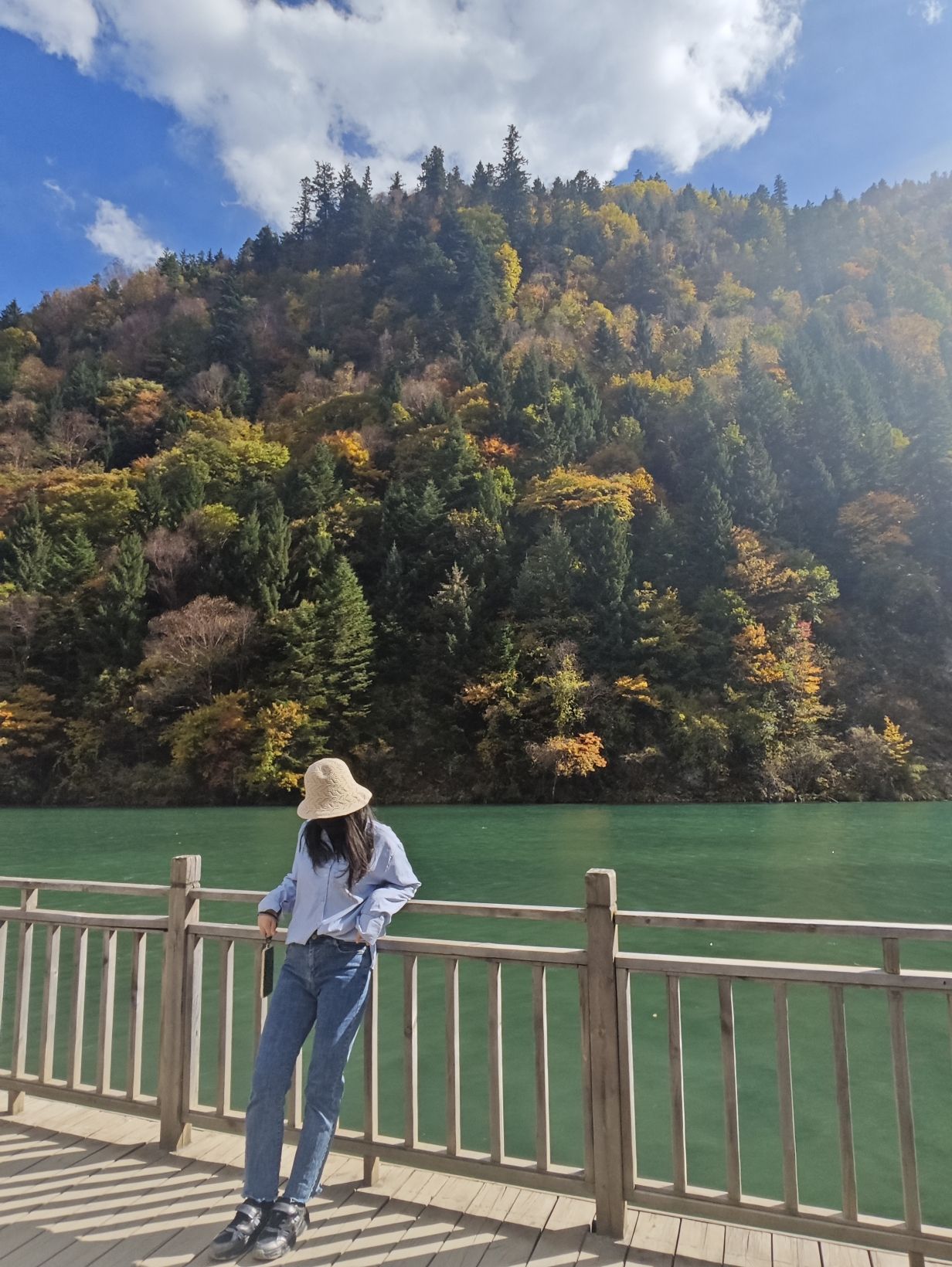 奶子沟彩林公园景区-洛哩措旅行图片 1