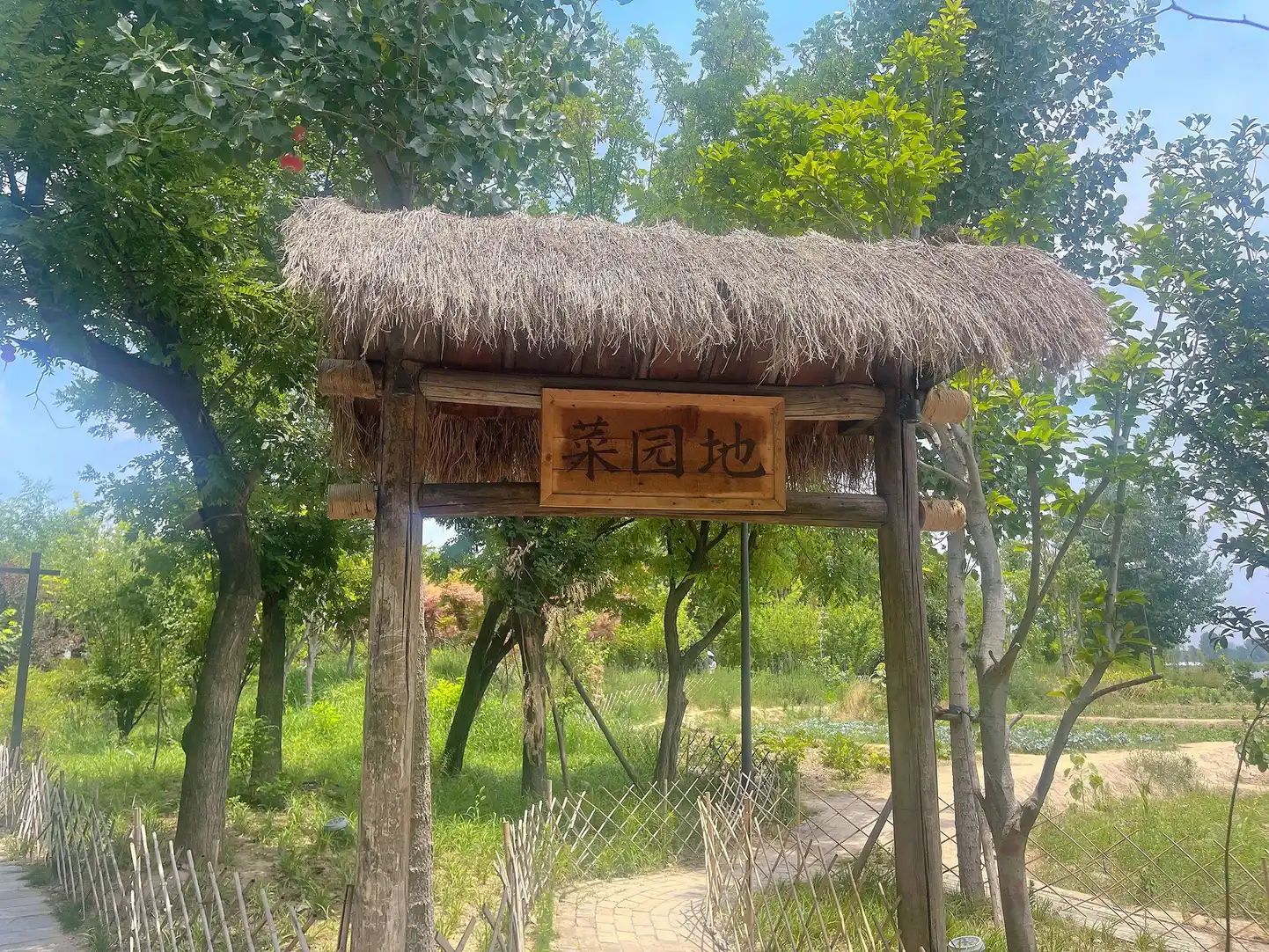 同盟古镇旅行图片 2