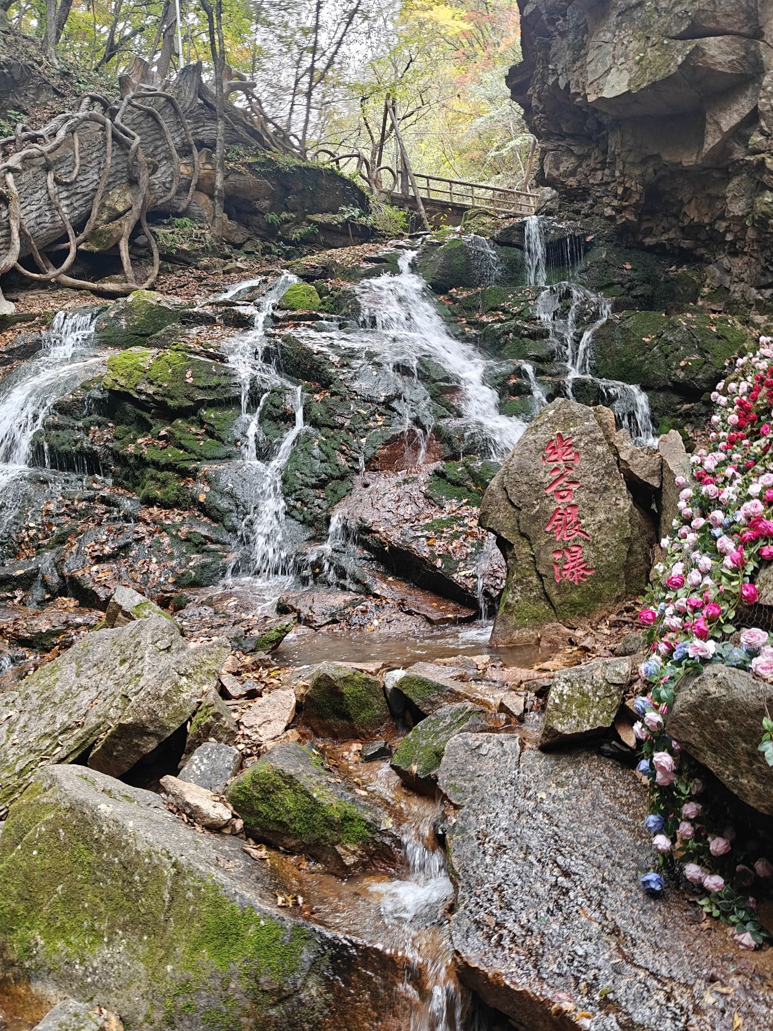 五女峰国家森林公园-峡谷瀑布