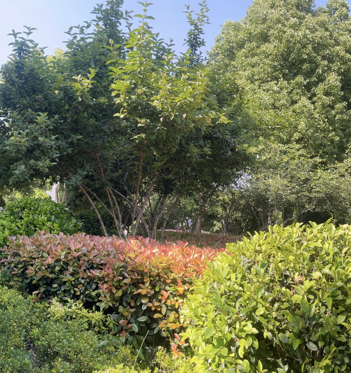 杭州沿江景观公园旅行图片 3