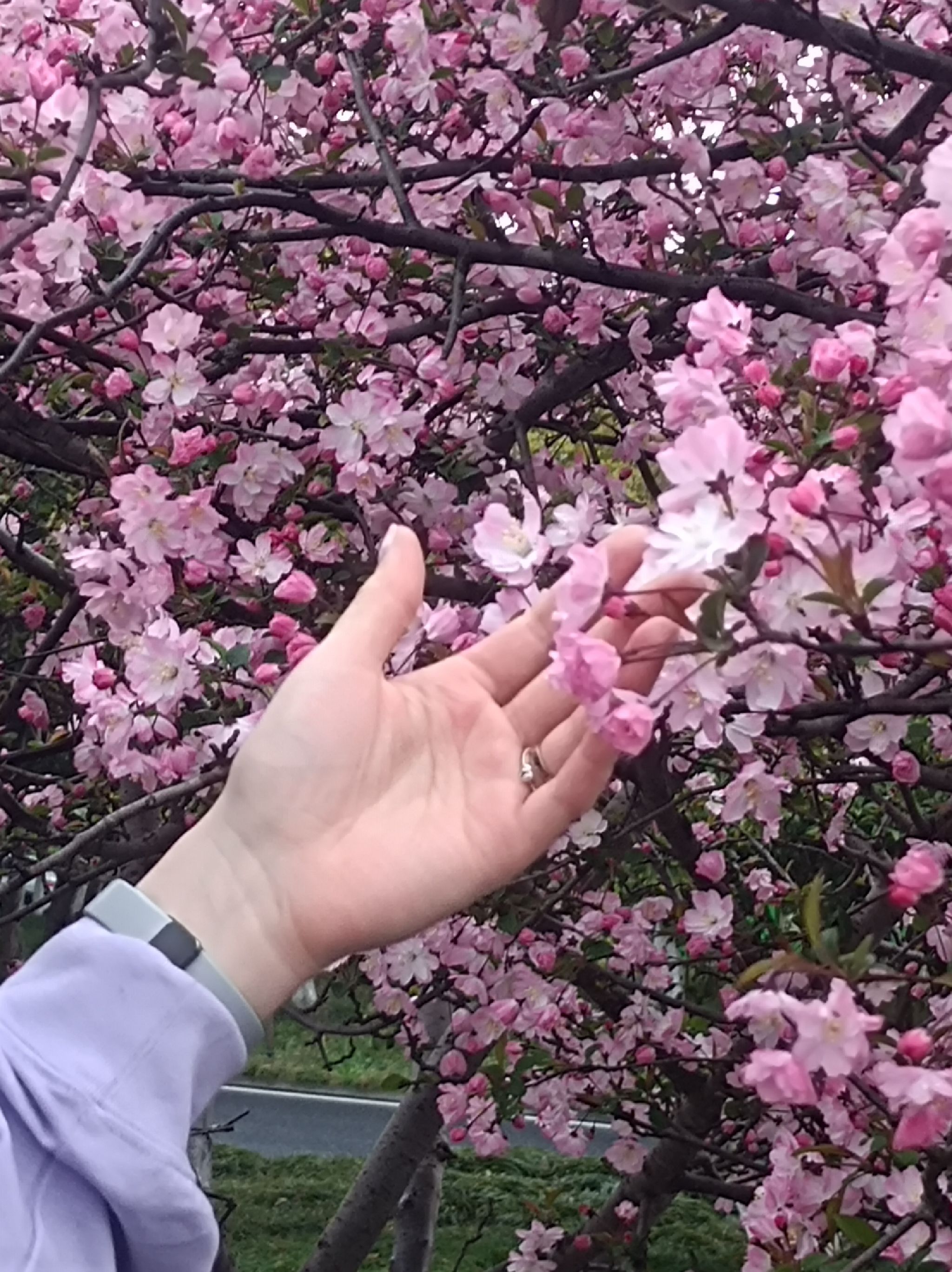 杭州沿江景观公园旅行图片 1