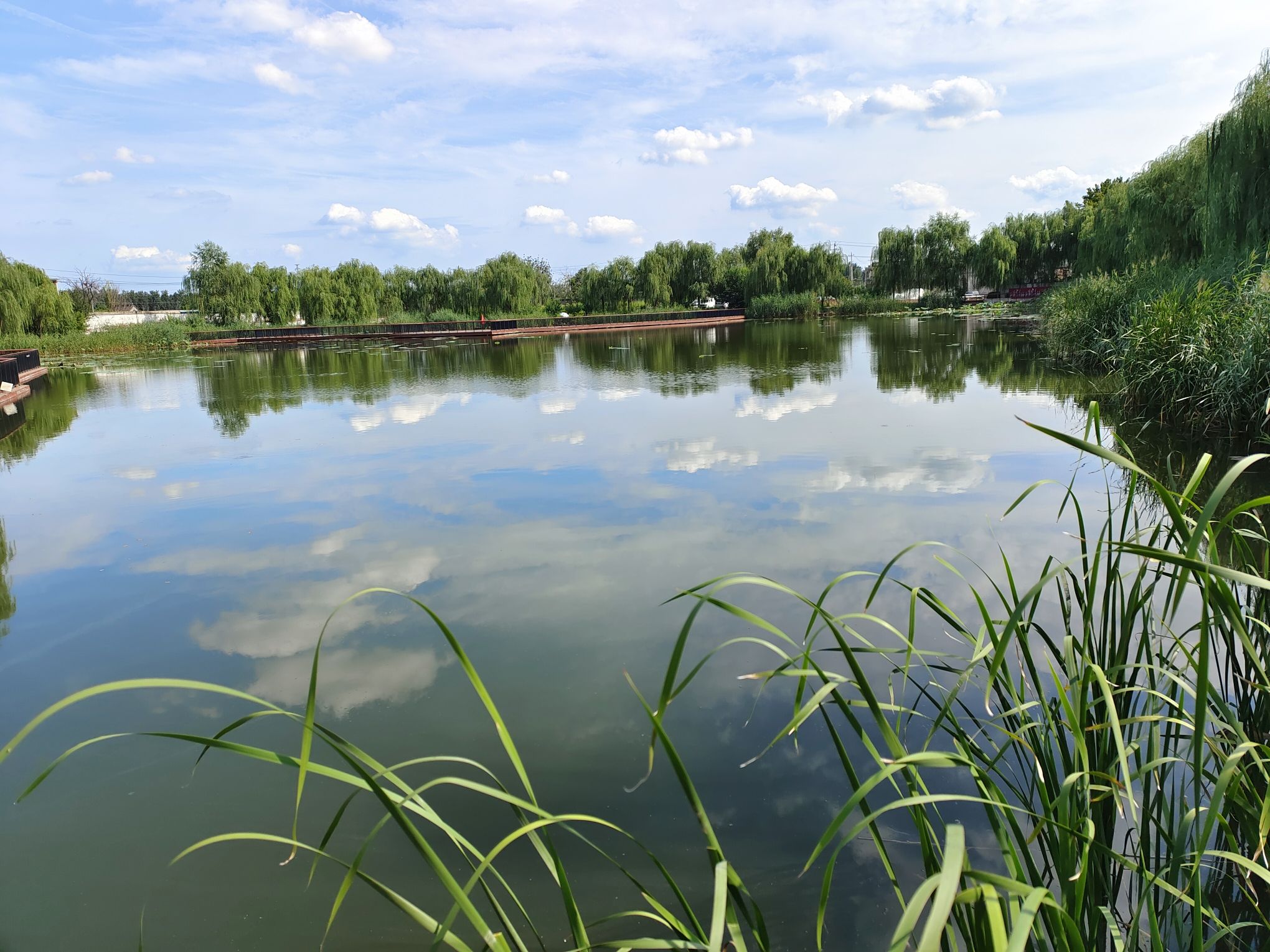 水坡环湖公园旅行图片 3