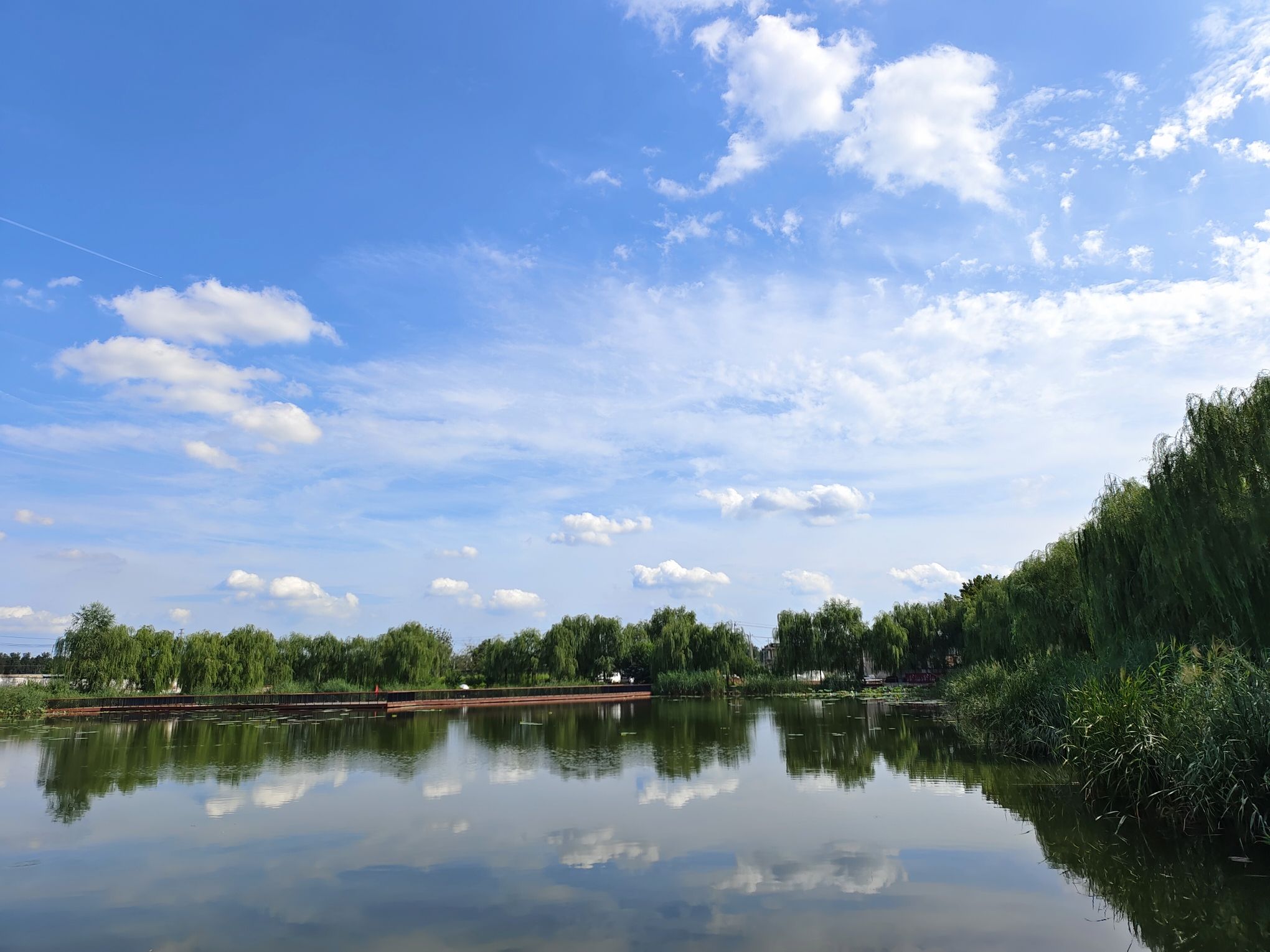 水坡环湖公园旅行图片 2