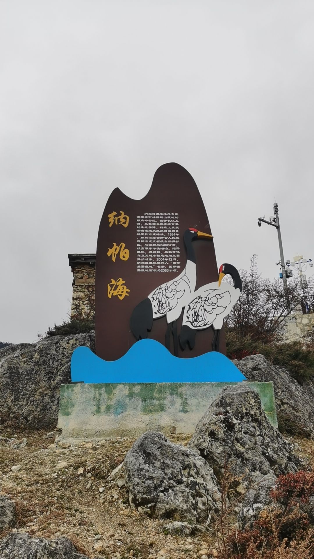 纳帕海观景台