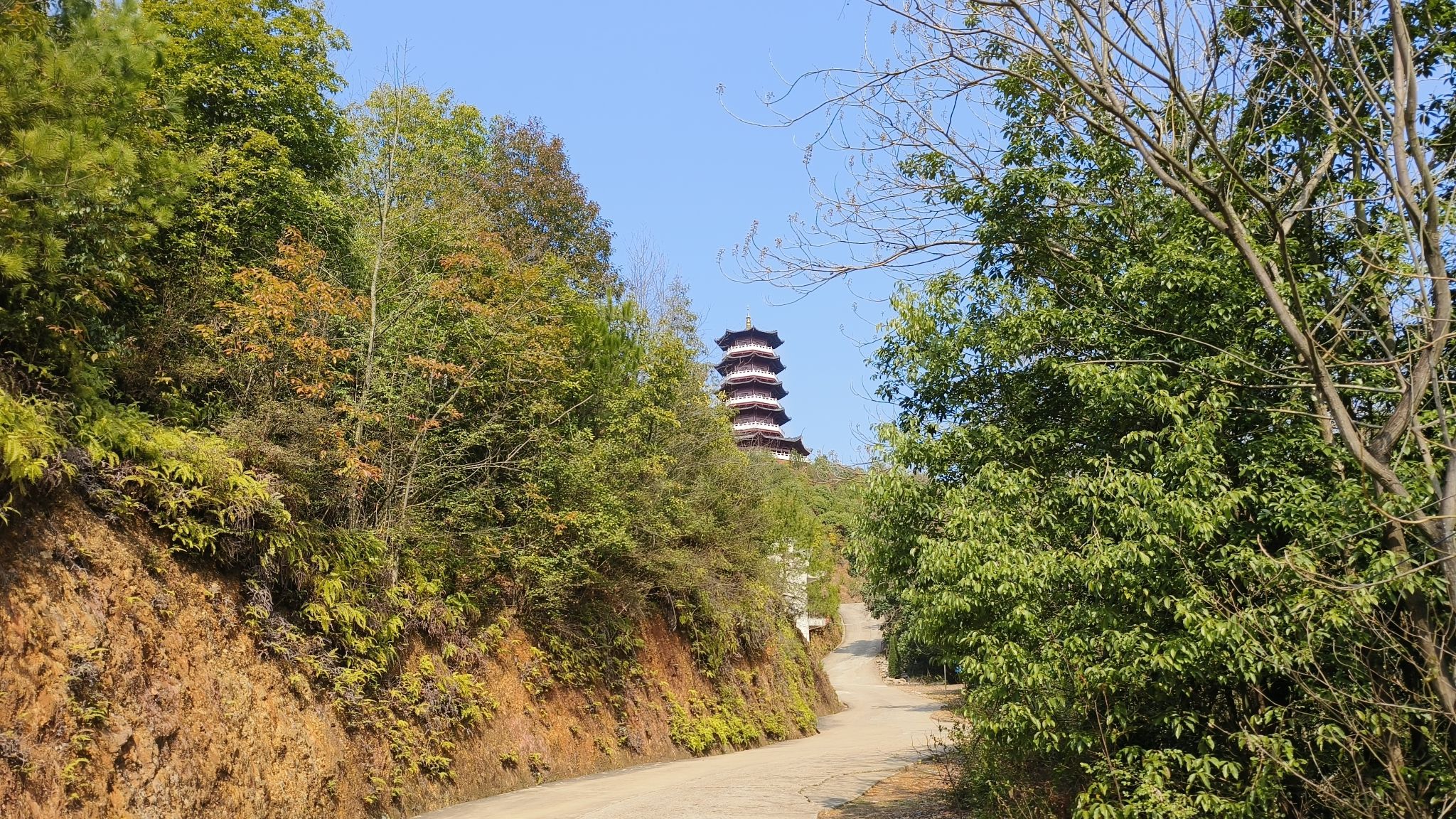 宝应峰旅行图片 3
