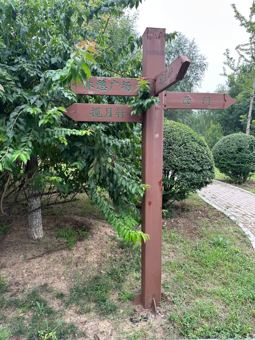 东山山体公园旅行图片 3
