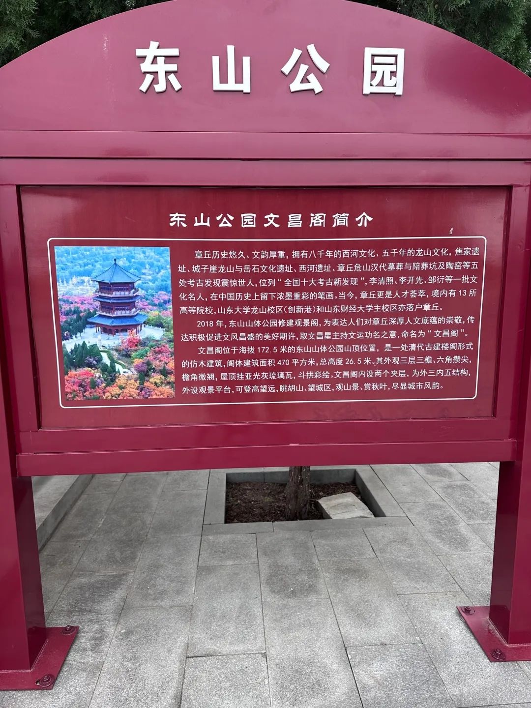 东山山体公园旅行图片 1