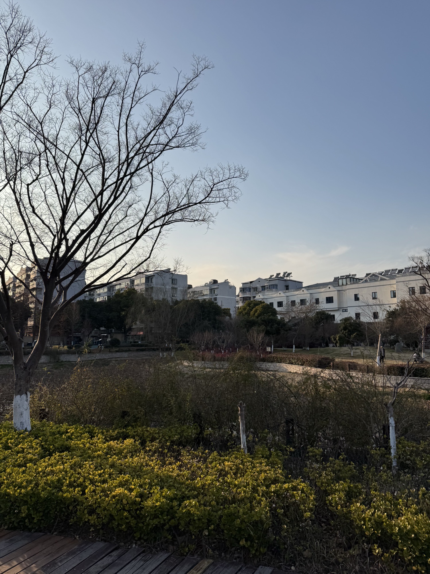 江宁双拥公园旅行图片 3