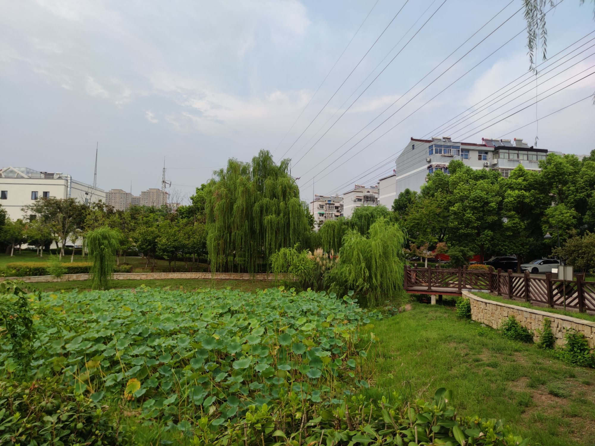 江宁双拥公园旅行图片 2