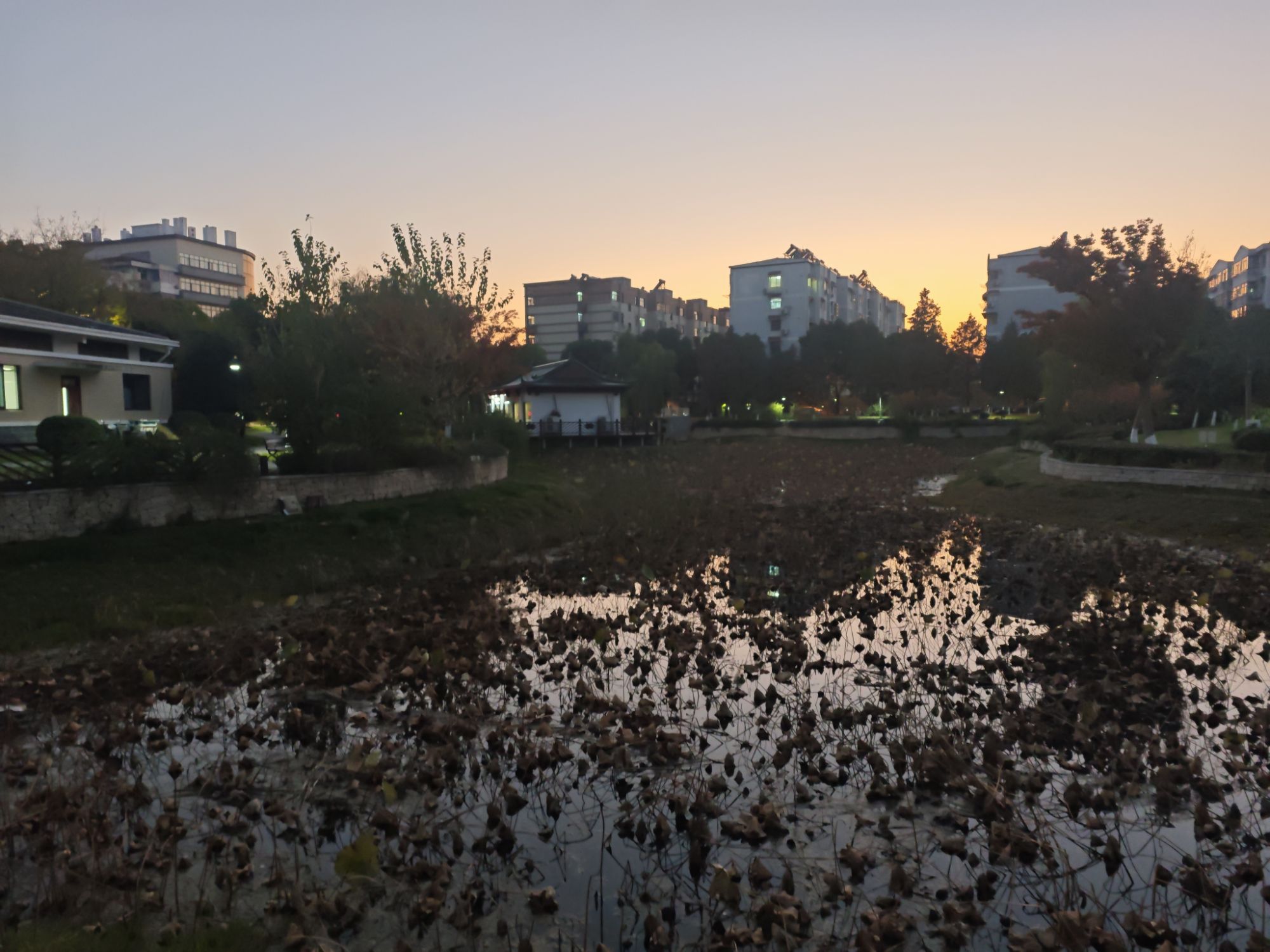 江宁双拥公园旅行图片 1