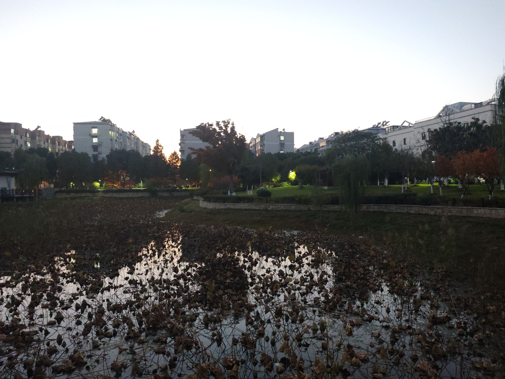 江宁双拥公园旅行图片 3