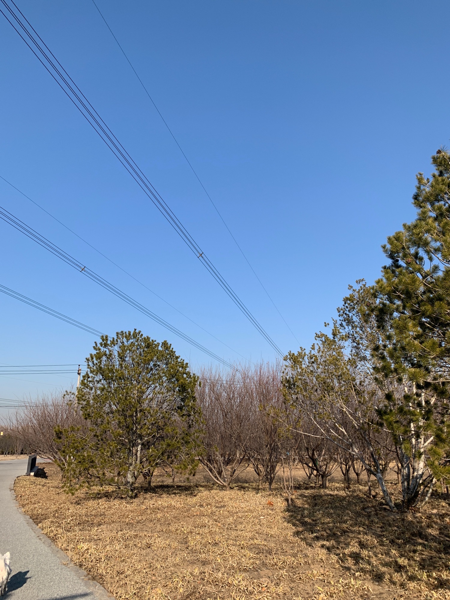 张家湾公园旅行图片 2