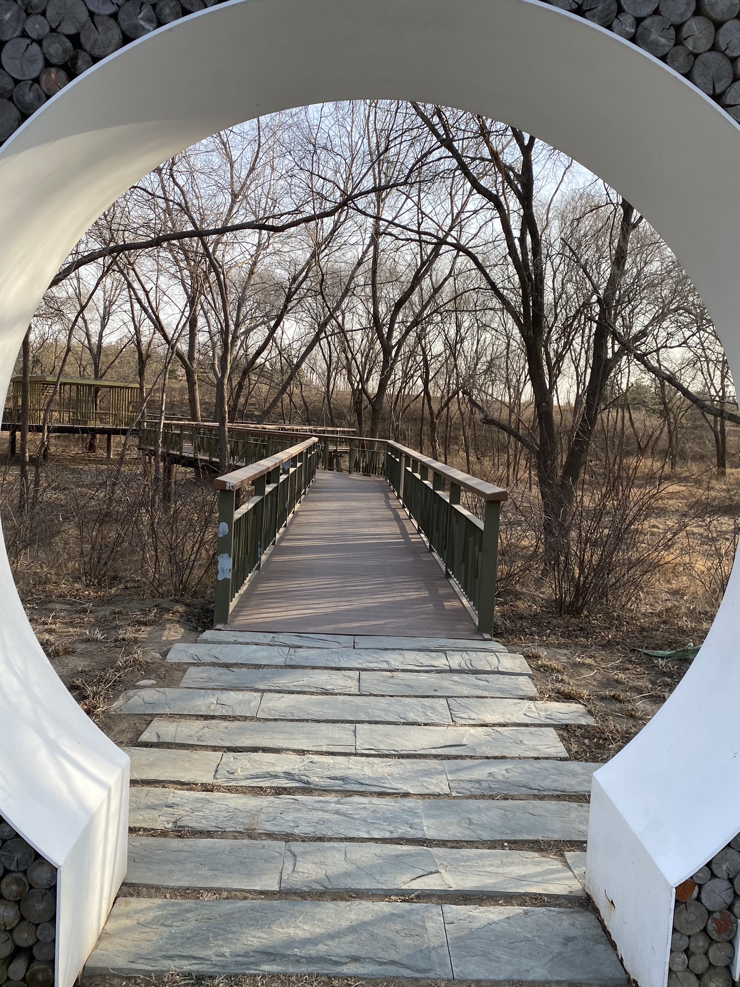 张家湾公园旅行图片 3