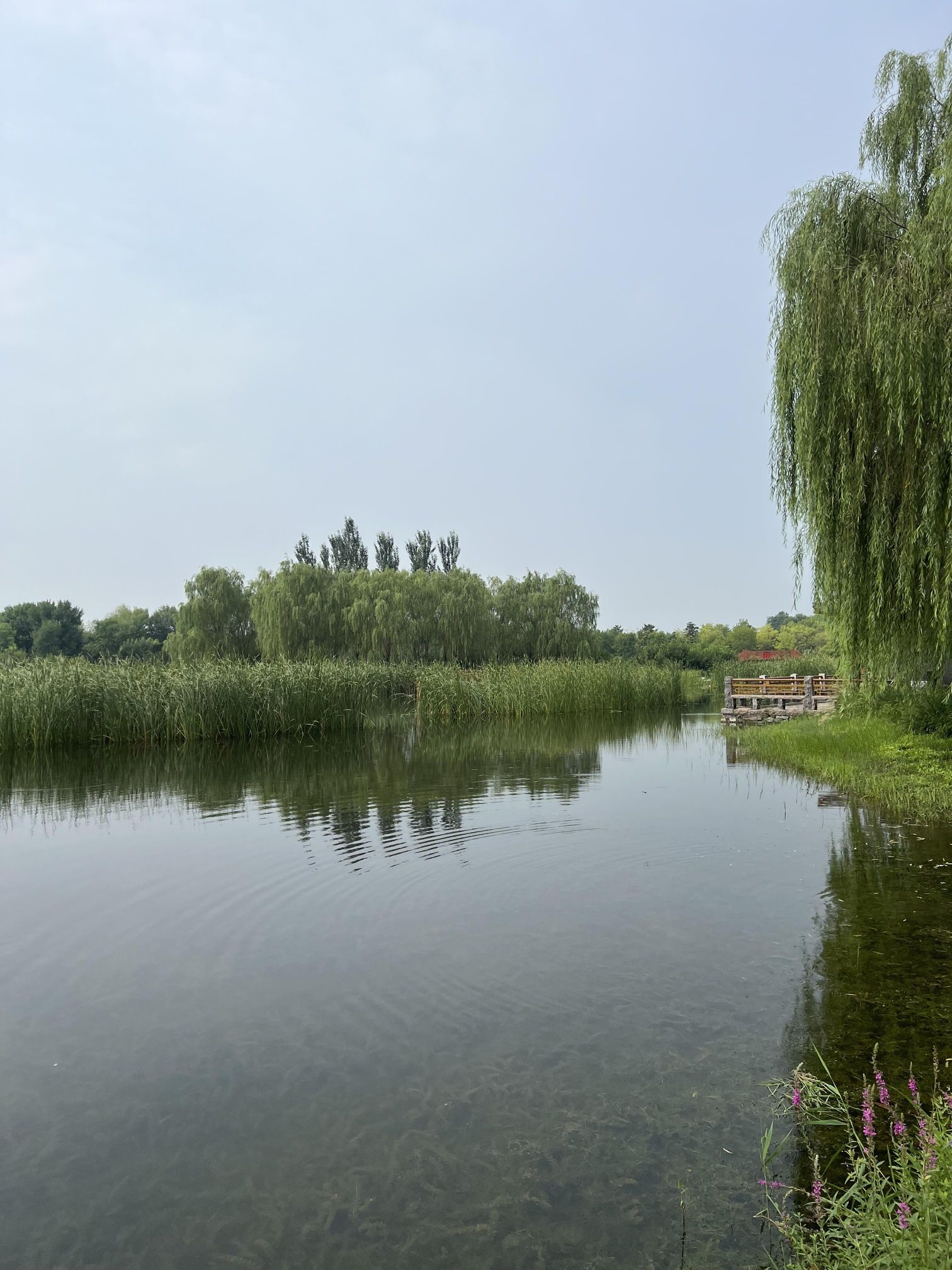 张家湾公园旅行图片 2