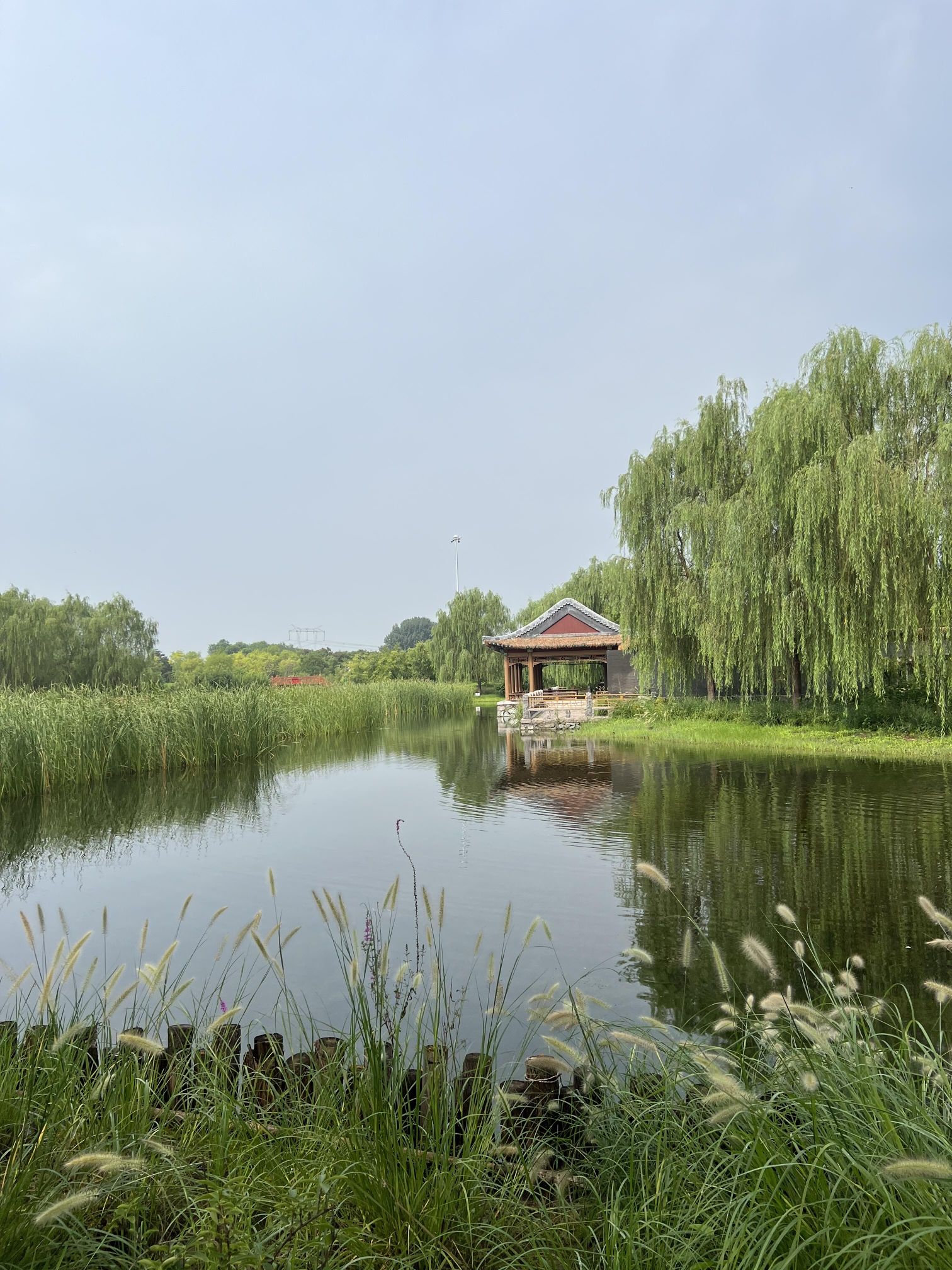 张家湾公园旅行图片 3